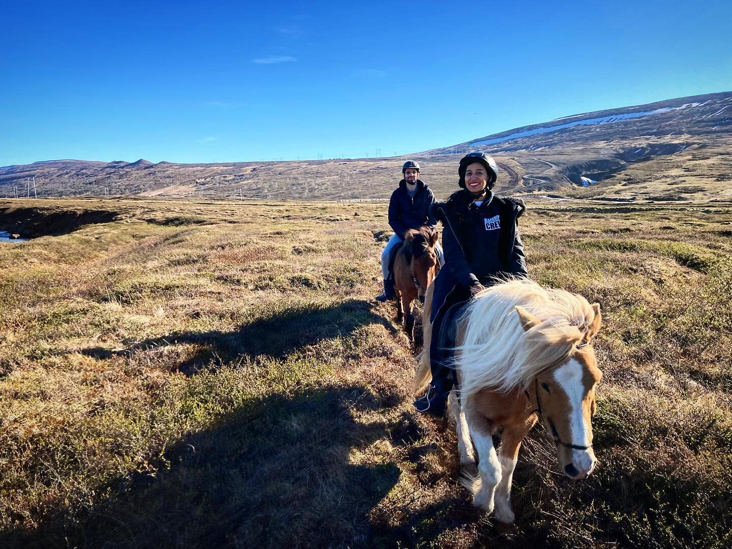 We&rsquo;re doing rides ☺️ 
#touristiniceland #icelandtravel #visitmyvatn #icelandichorse #instahorse #bestjobever #go&eth;afoss