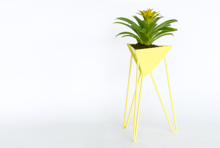 PlanterLarge_Header_Citron1.jpg