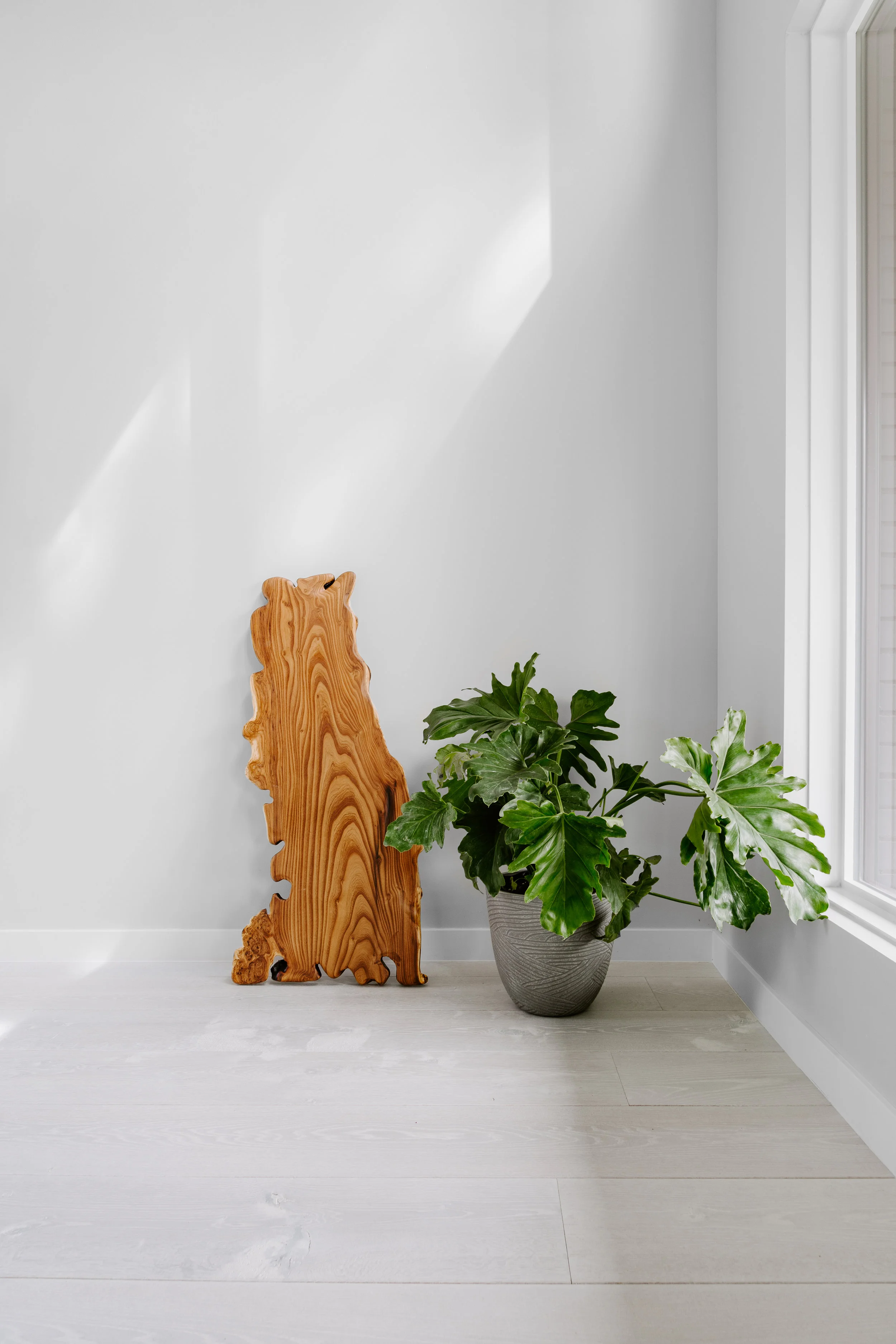 kyliefitts_265elm_09.jpg