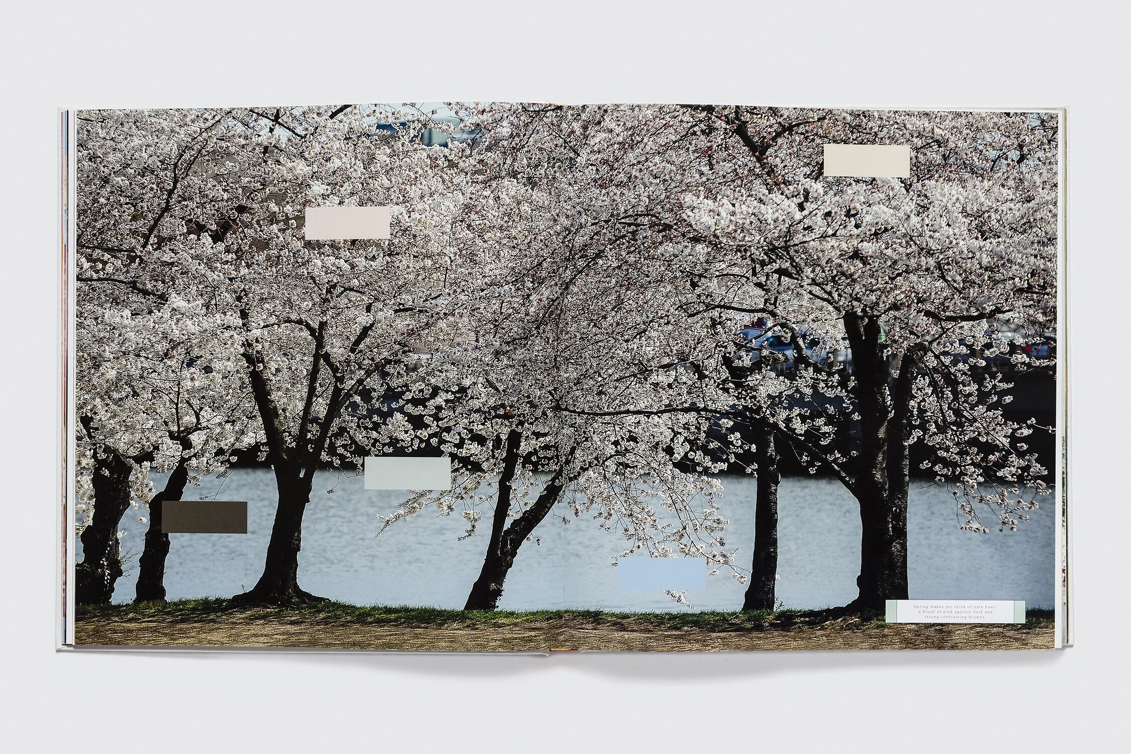 3Q1A6642.jpg