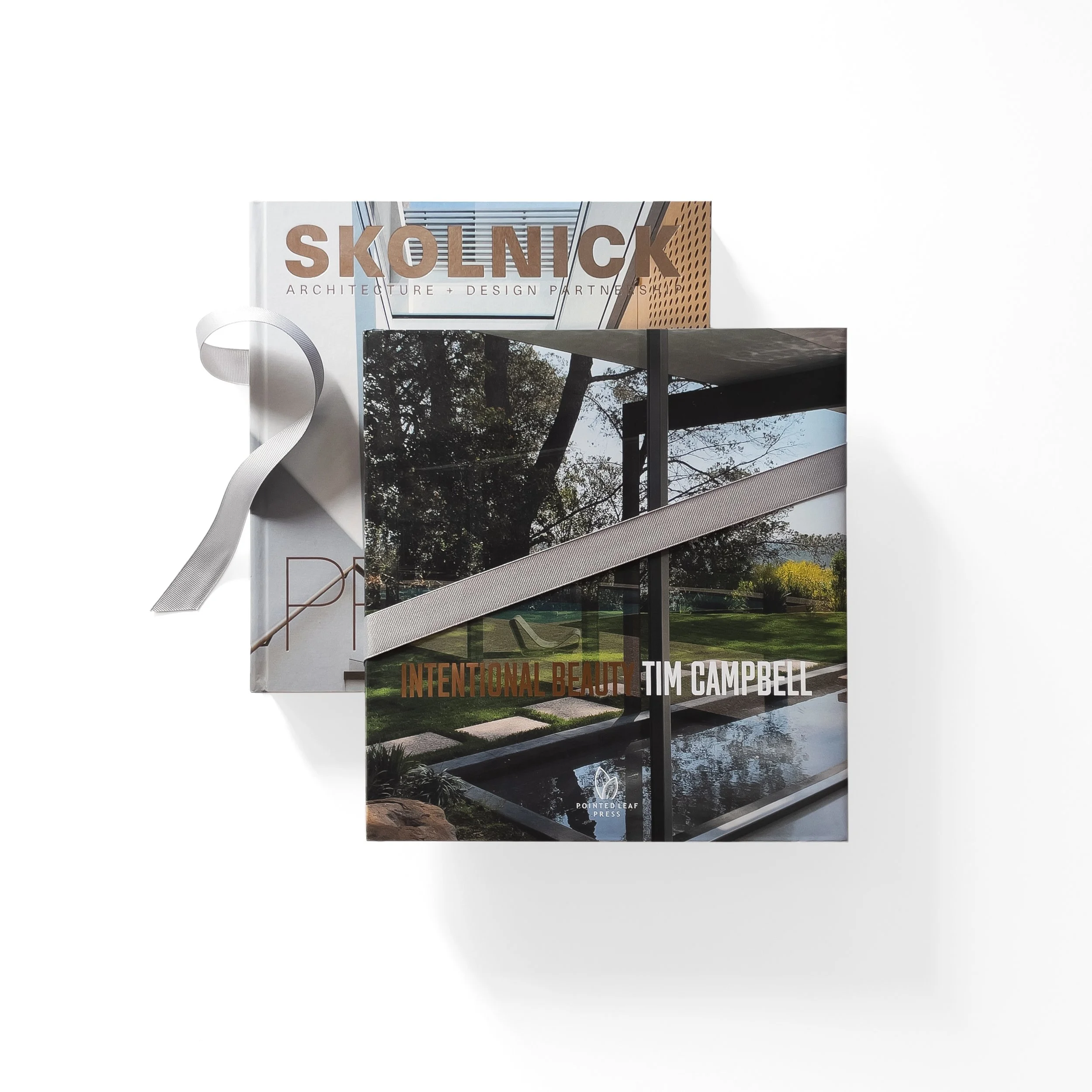 Architecture_Skolnick and Intentional Beauty.jpg