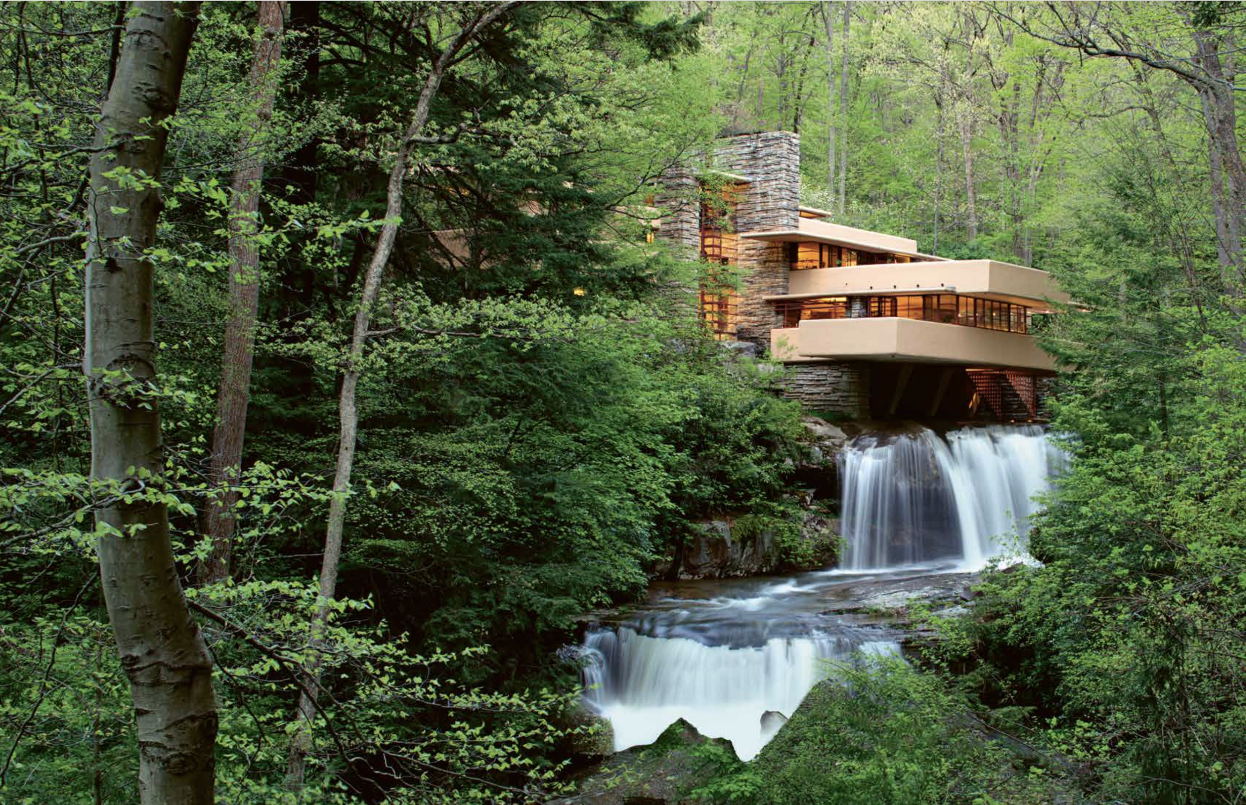 Screenshot 2026-02-19 at 1.00.48 PM.png