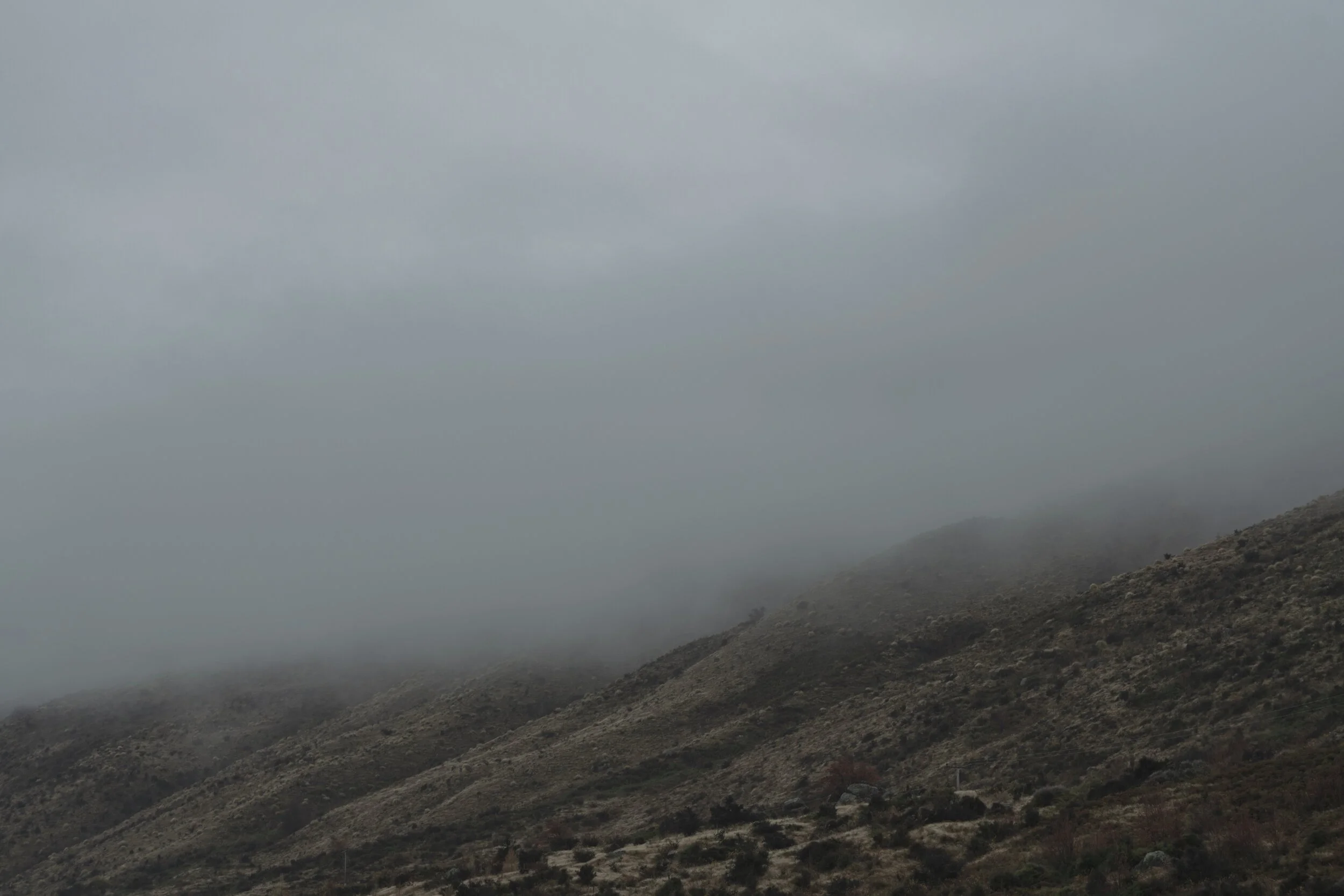 New Zealand, June 2019