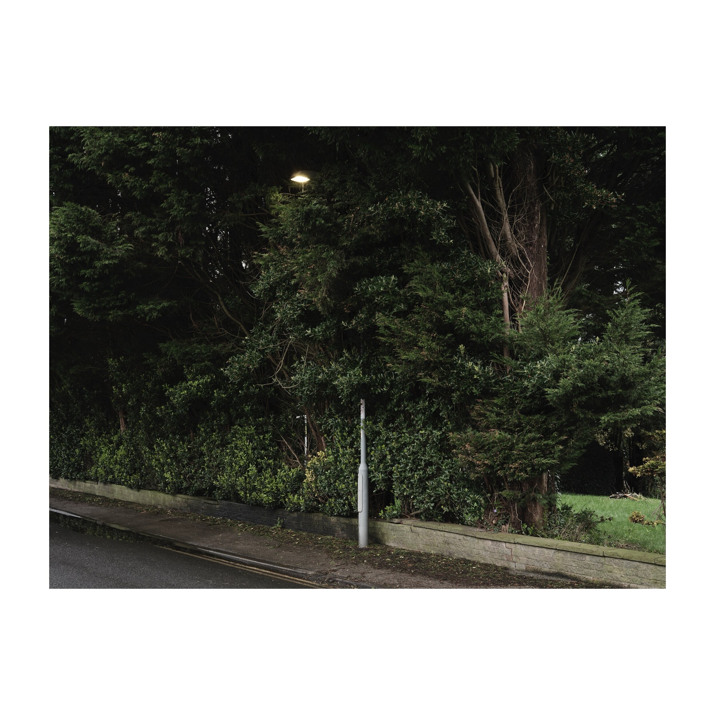 Lamp Shade.
.
.
.
.
.
#lamppost #lamp #lampshade #streetfurniture #hedges #daylight #fujifilmgfx100s #landscape #landscapephotography #greentones #penwortham #preston