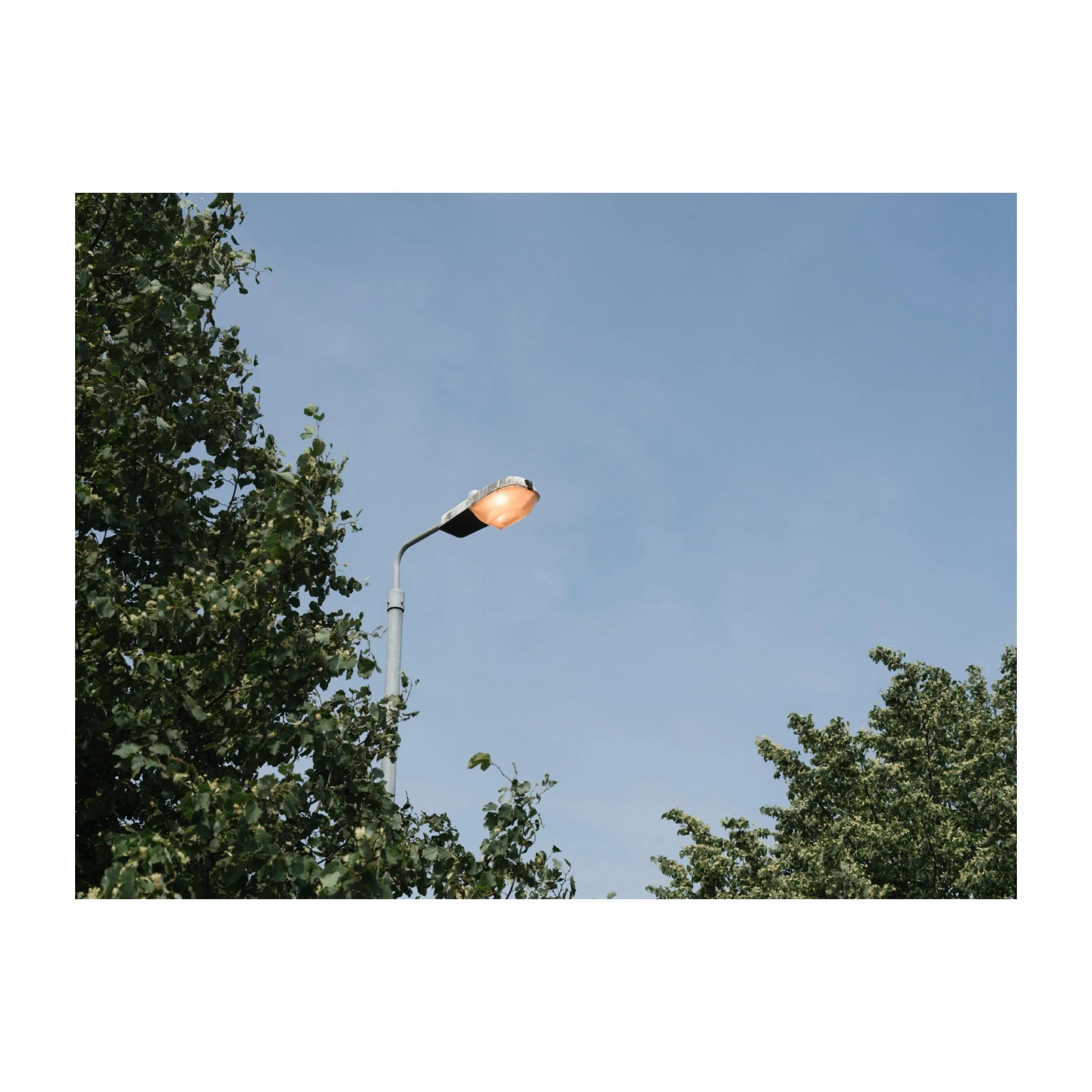 Day Light. 
.
.
.
.
.
#light #daylight #sensorfail #gfx100sii #summer