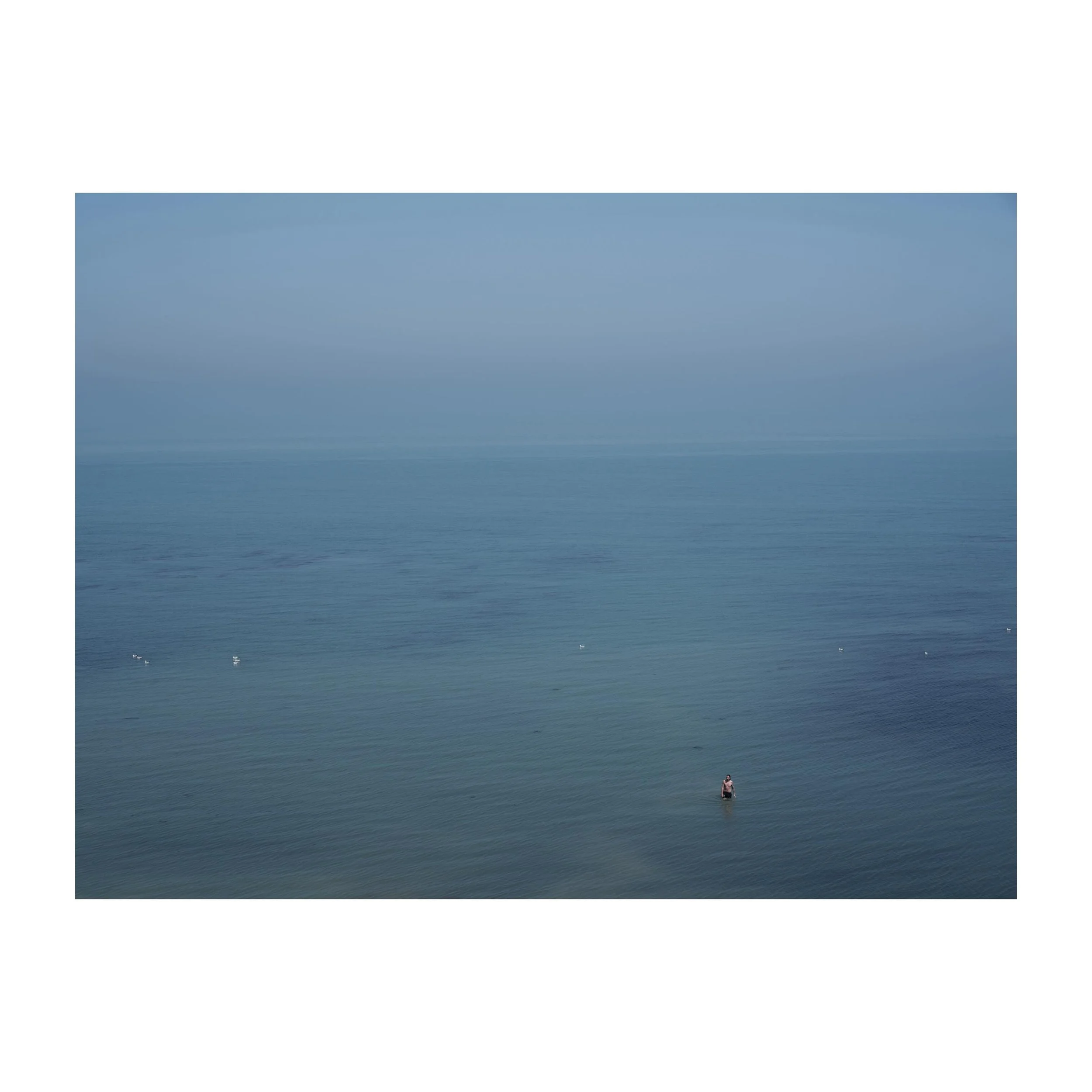 Sharing the sea with the birds. 
.
.
.
.
.
#swimmer #sea #soloswimmer #summer2026 #fujifilmgfx100sii