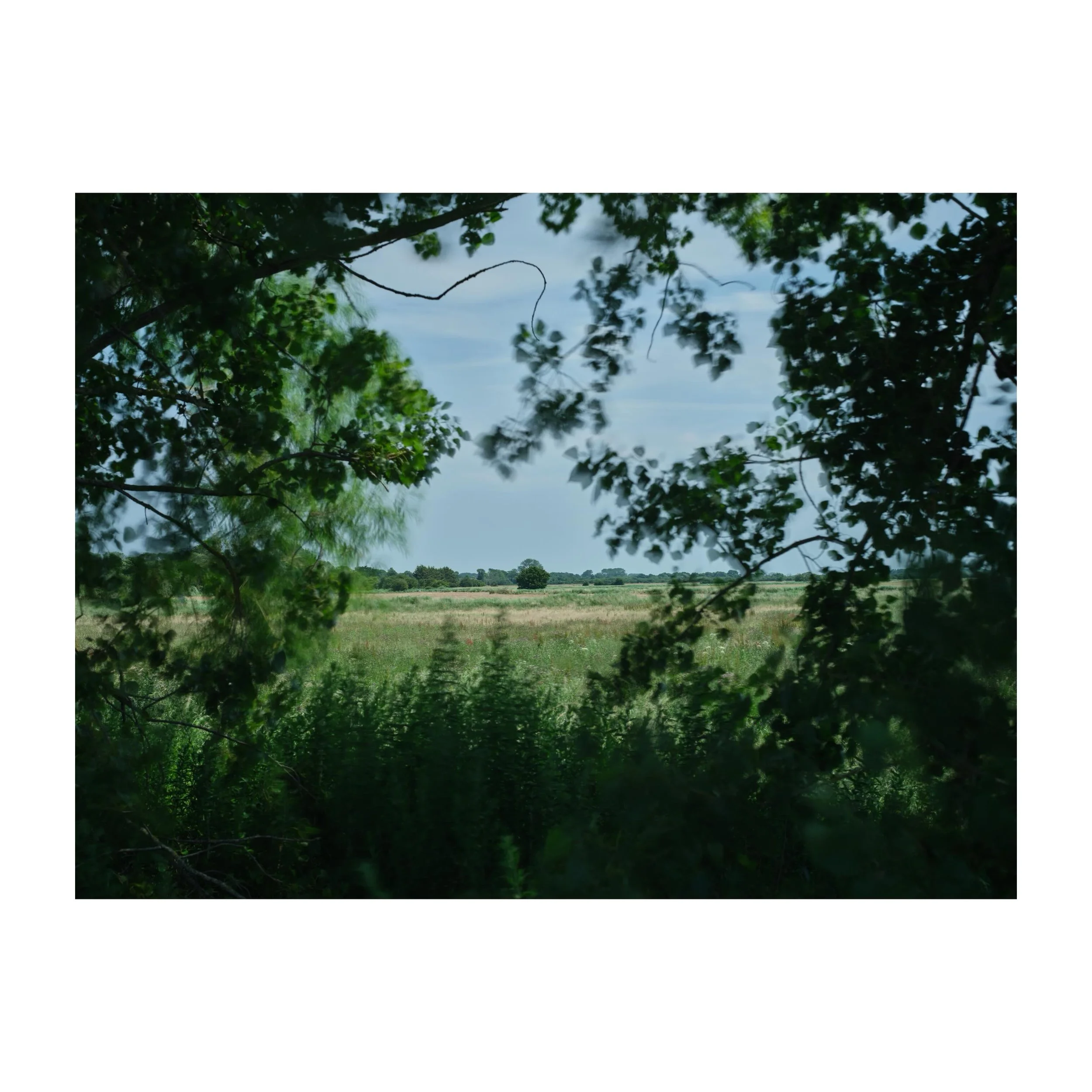 Long exposure field work.
.
.
.
.
.
#longexposure #bigstopper #countryside #kent #gfx100sii