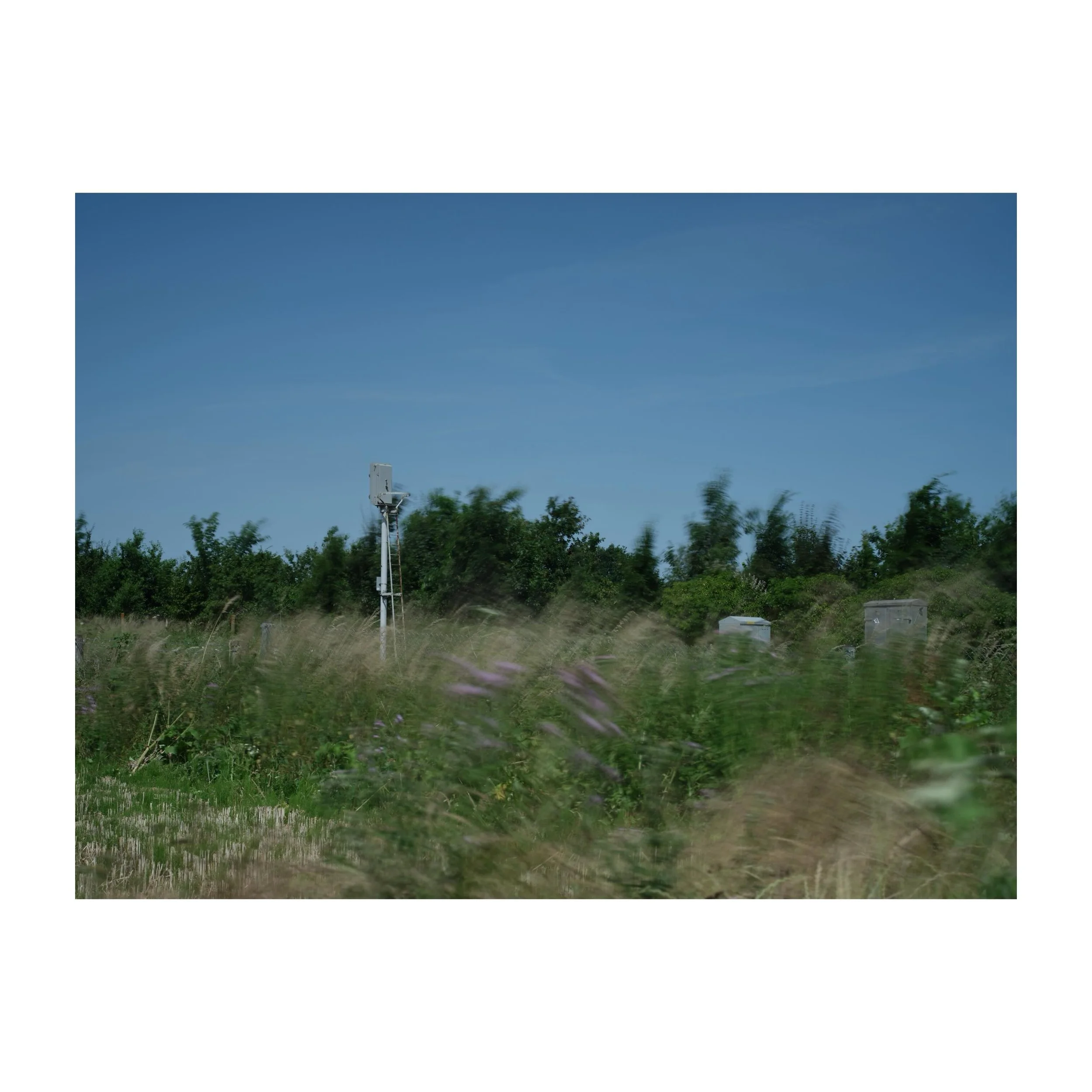 By the railway tracks the wildflowers get free range.
.
.
.
.
.
#rail #railtracks #wildflowers #longexposure #gfx100sii