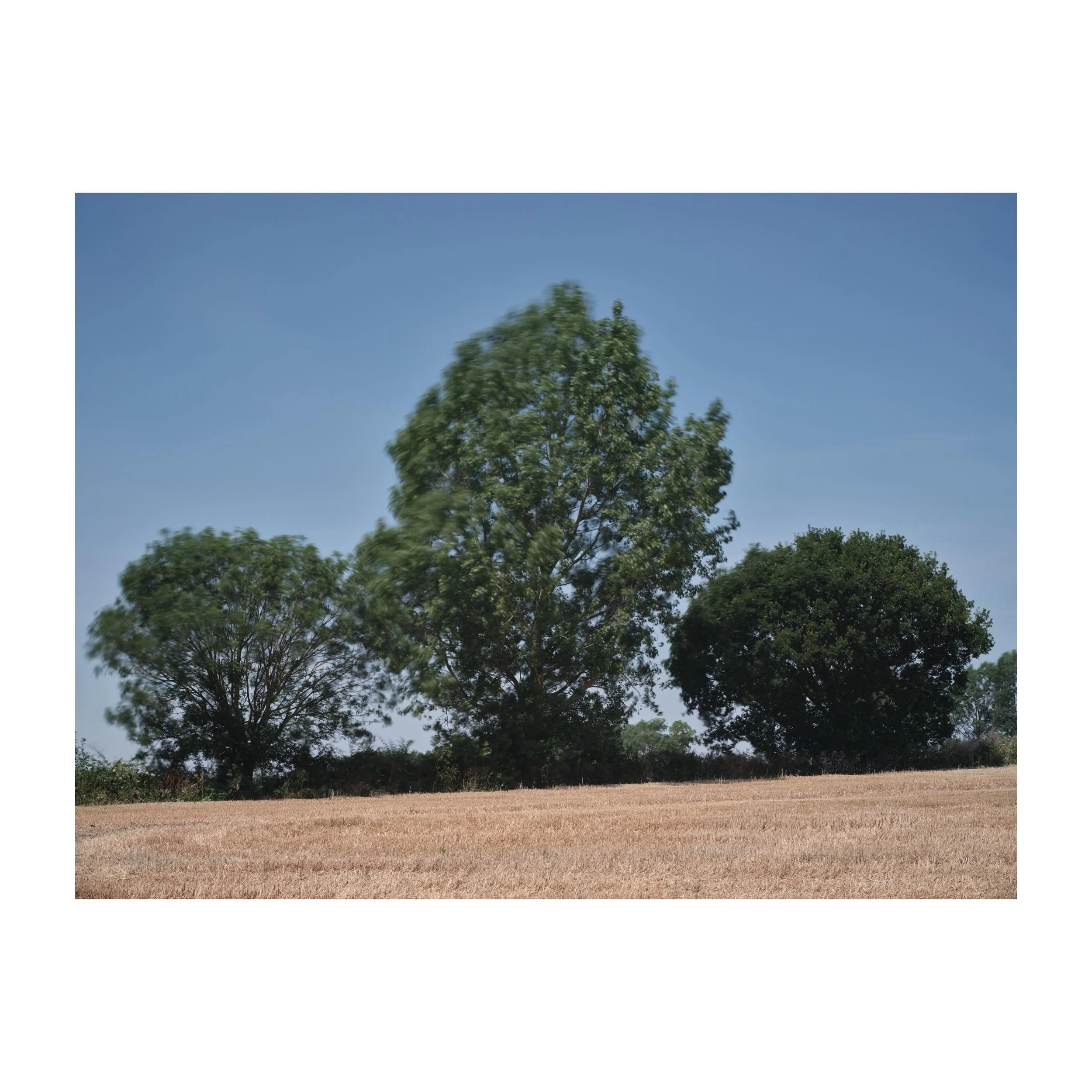 Long exposure trees in the midday sun.
.
.
.
.
.
#trees #middaysun #sun #summer #gfx