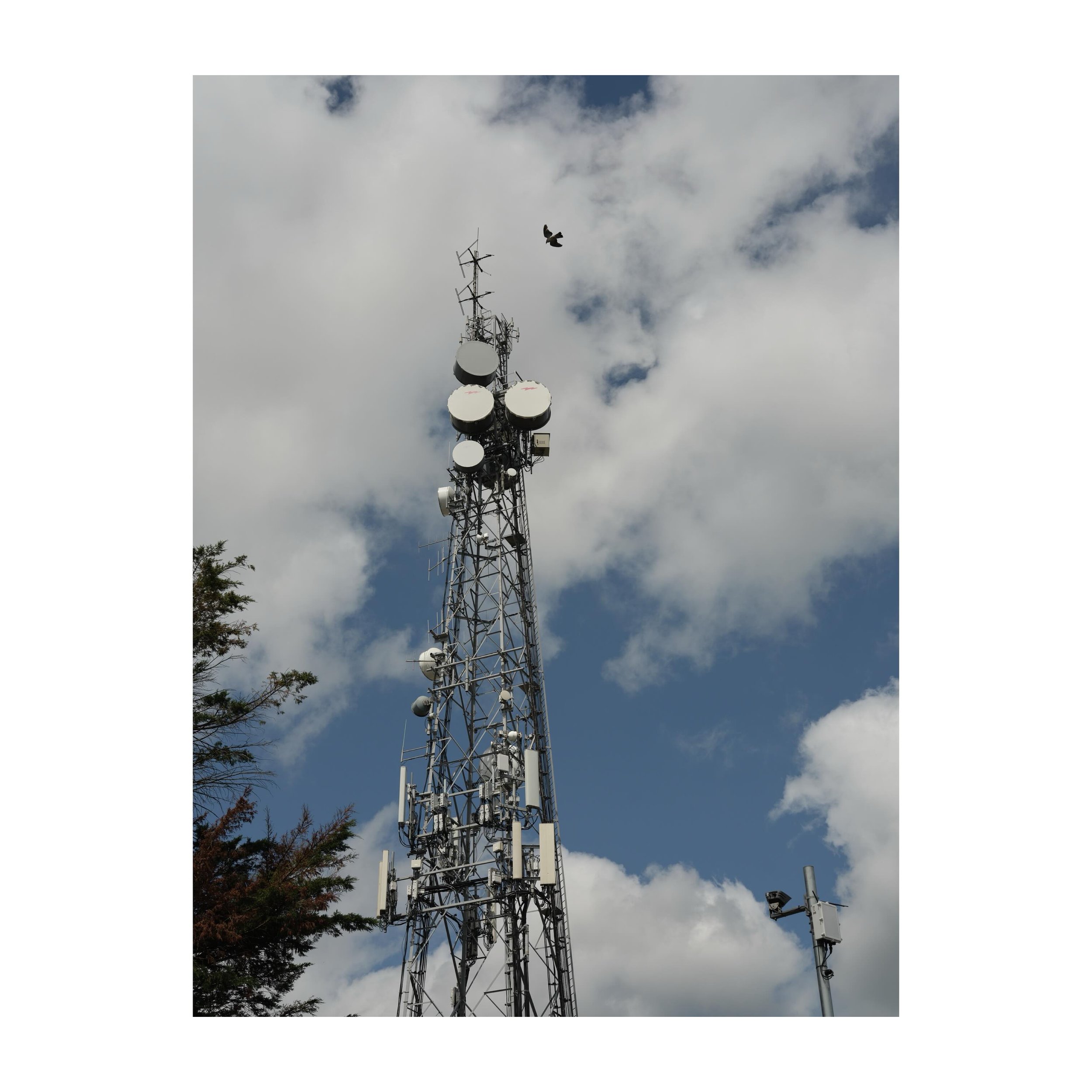 179/365
Multipurpose communications tower with pigeon.
.
.
.
.
.
#pigeon #communicationstower #summersky #sky #gfx100sii