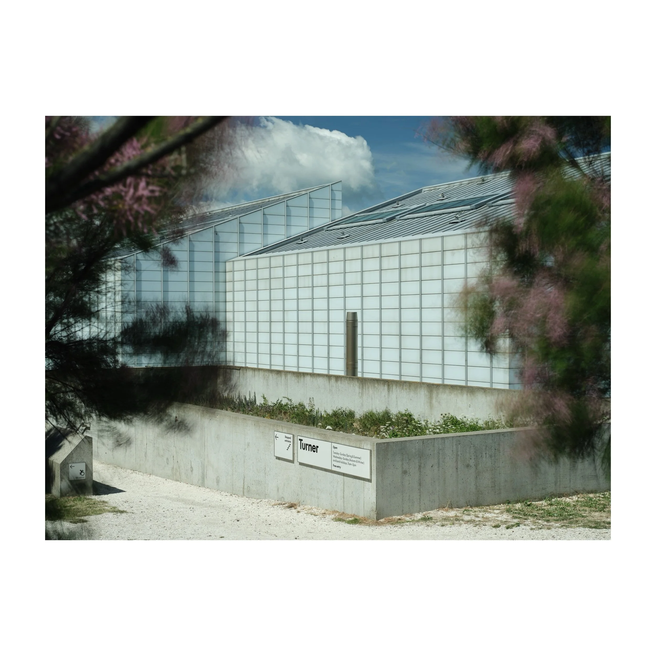 The back of the @turnercontemporary framed by my new favourite shrub! 
.
.
.
.
.
#longexposure #turner #tamarisk #architecturalphotography #gfx100sii