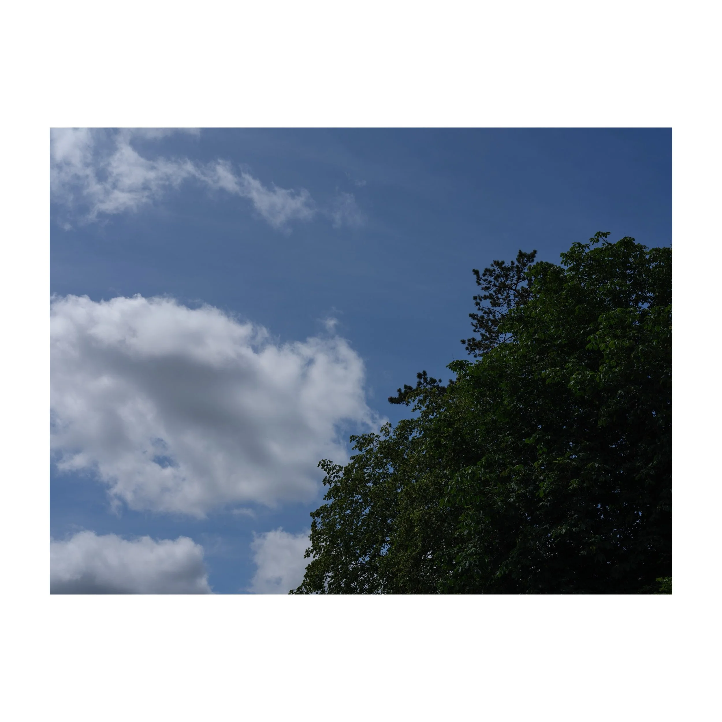 186/365
Clouds going behind a tree.
.
.
.
.
.
#clouds #tree #treesofinstagram #summersky #gfx100sii
