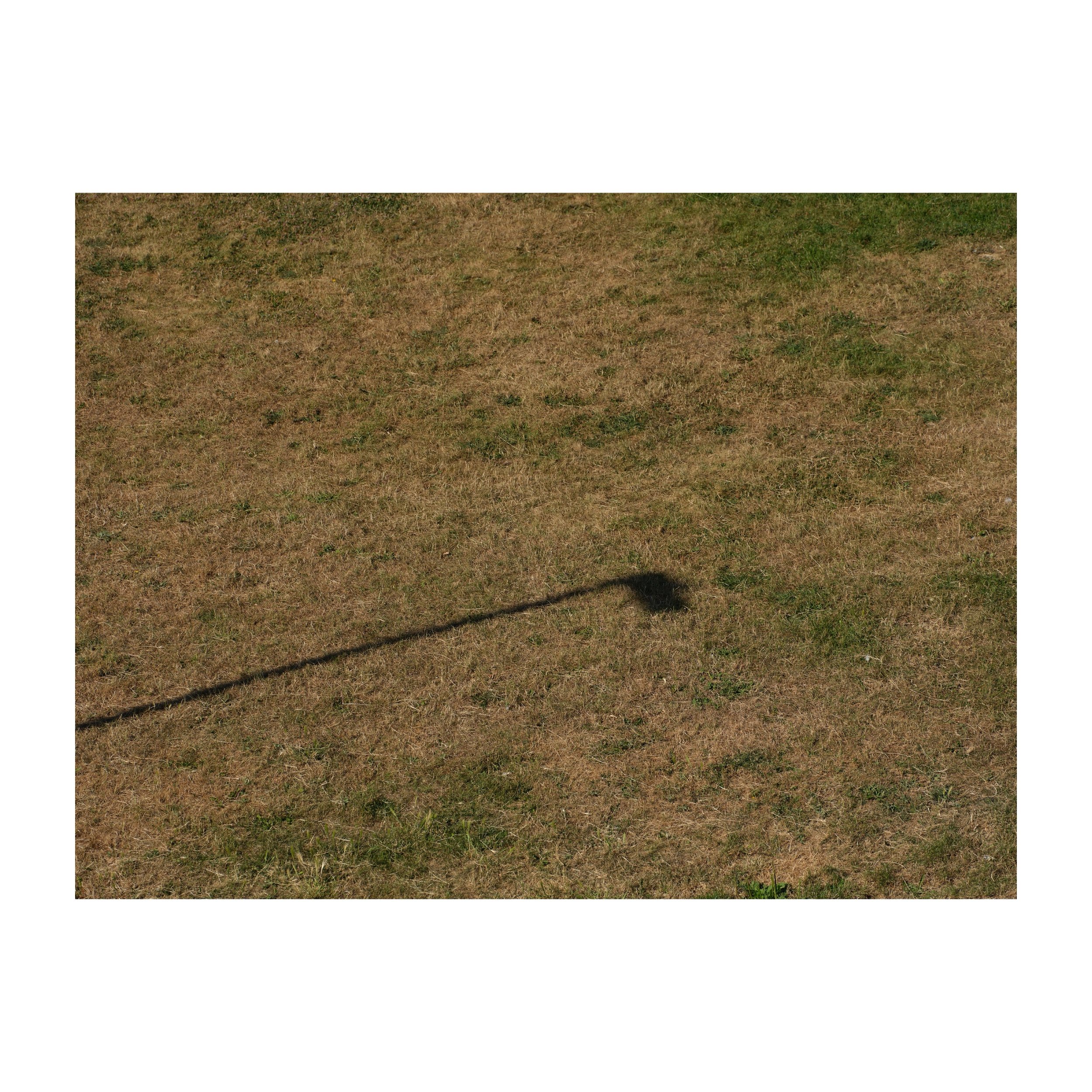 189/365
Light shadow on burnt grass.
.
.
.
.
.
#light #shadow #burntgrass #summerscene #gfx100sii