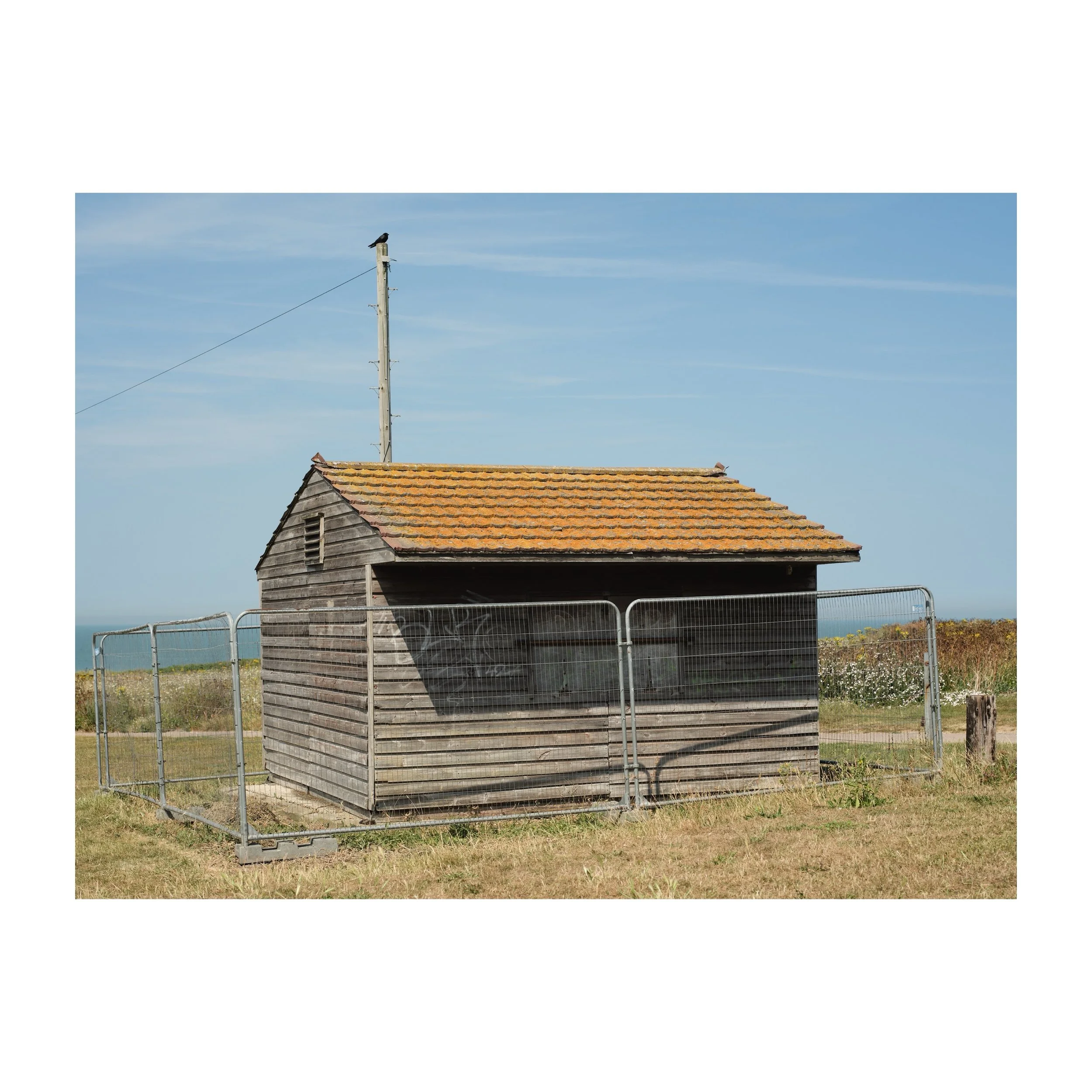 Abandoned shed.
.
.
.
.
.
#abandoned #shed #crow #hot #summer