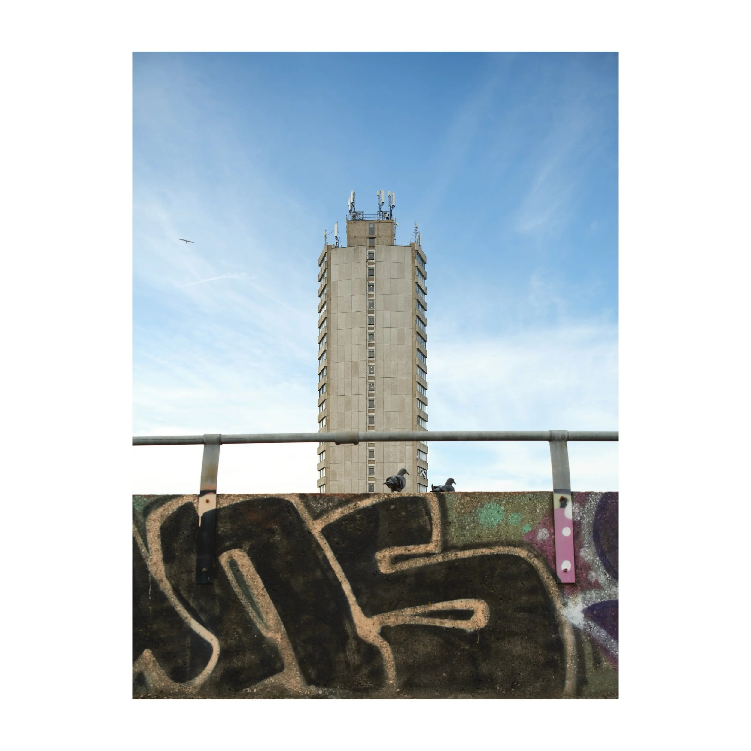 Arlington House with pigeons and Graffiti.
.
.
.
.
.
#arlingtonhouse #brutalistbuilding #concrete #towerblock #fujifilmgfx100sii