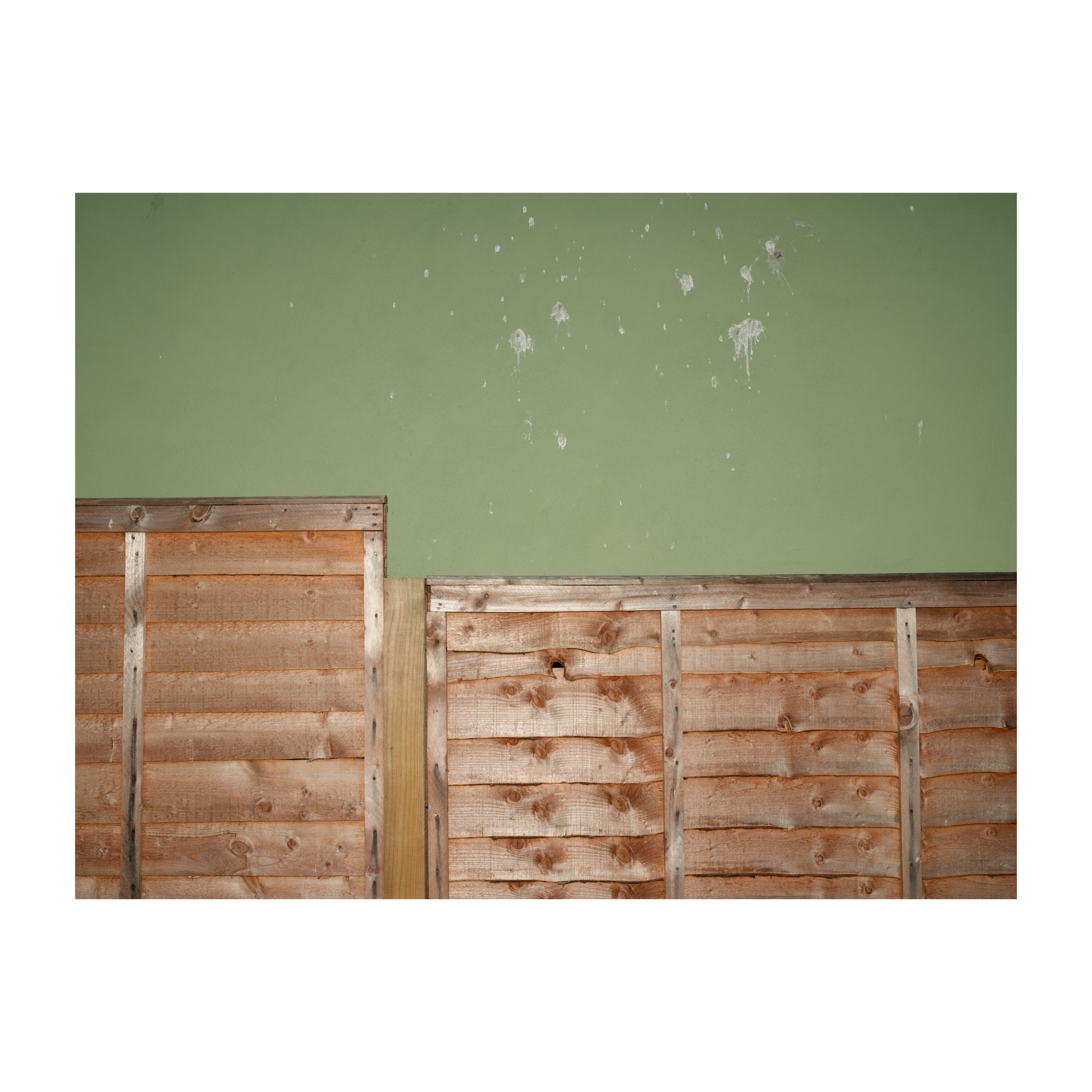 199/365
A fence with gull decorations on a green wall.

.
.
.
.
.
#fence #gulls #gardenwall #modernlandscape #gfx100sii