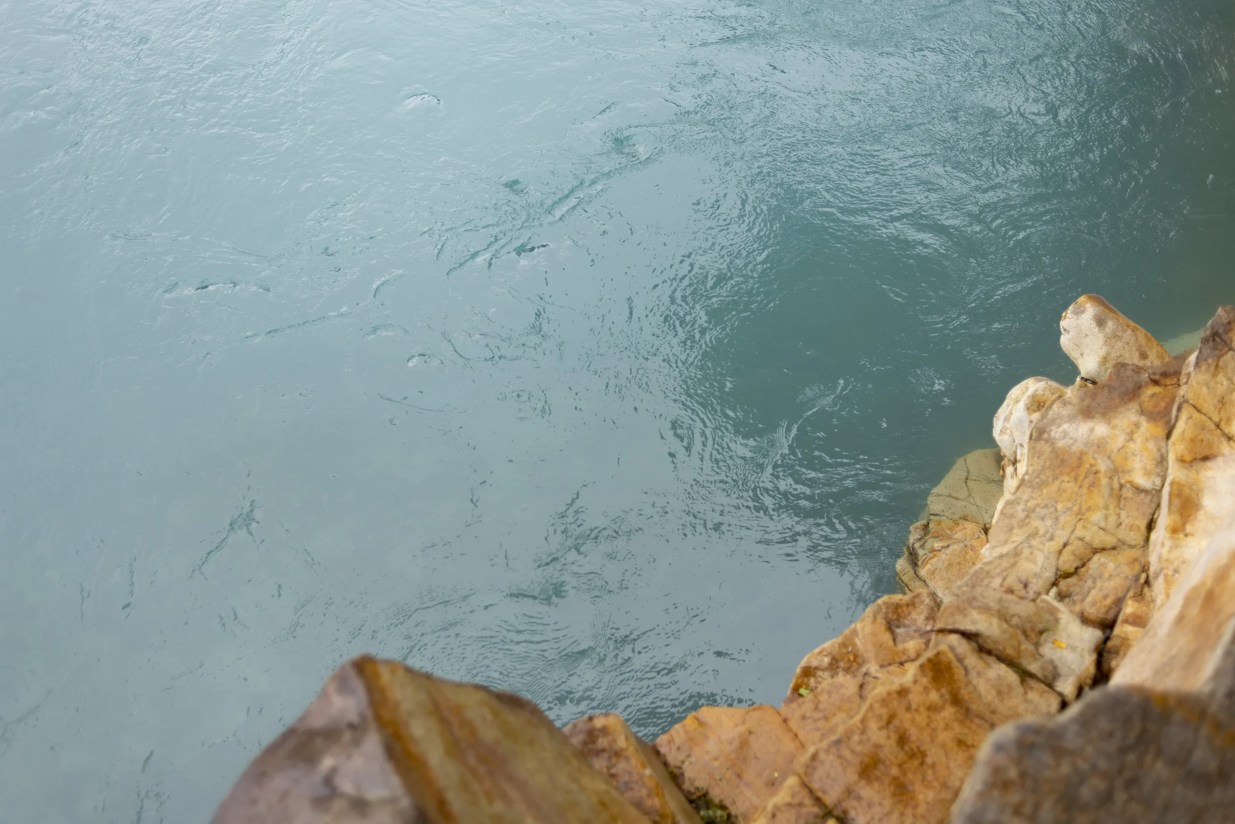 DSC_5703_noborder.webp