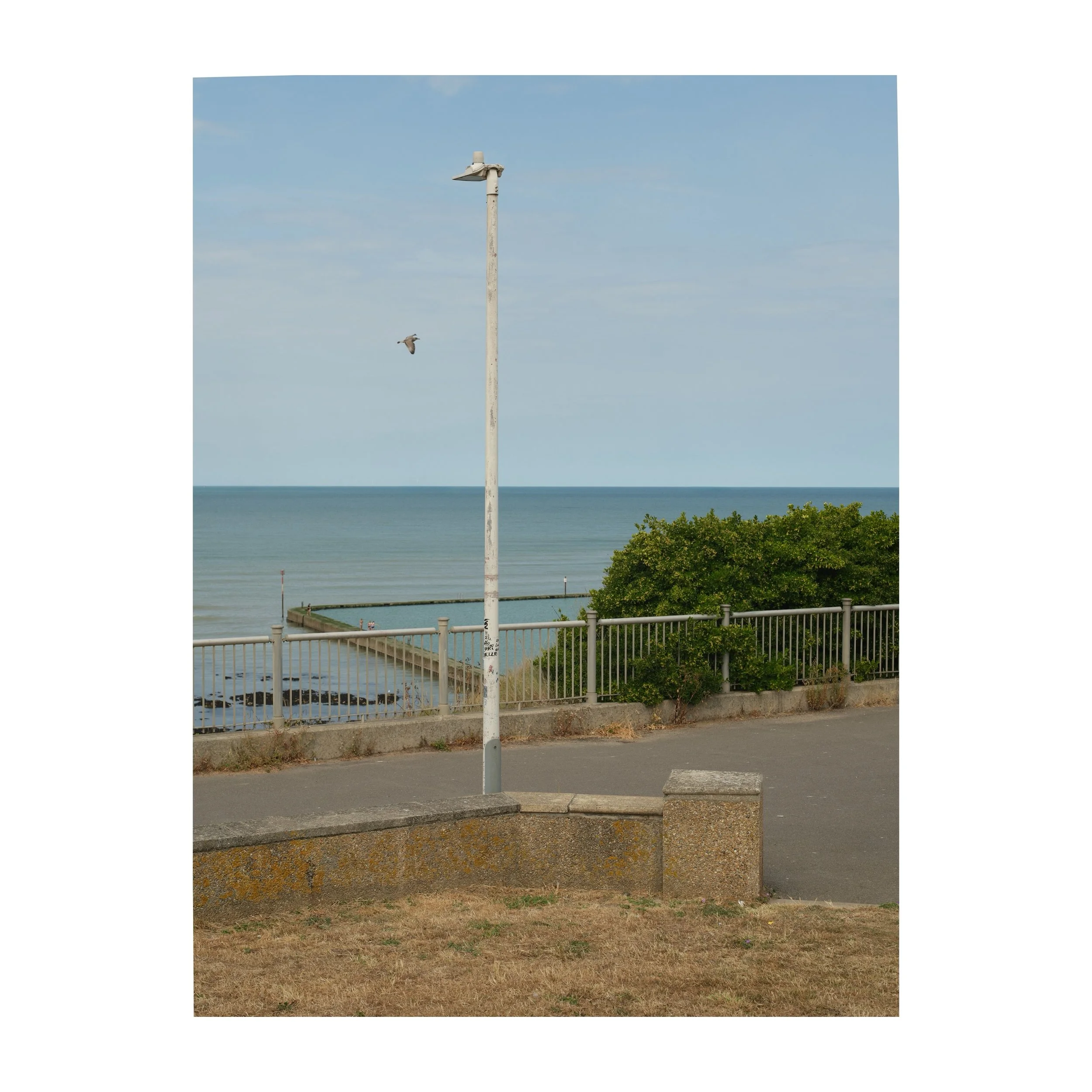 204/365
Messy composition.
.
.
.
.
.
#messycomposition #sea #gull #lampost #gfx