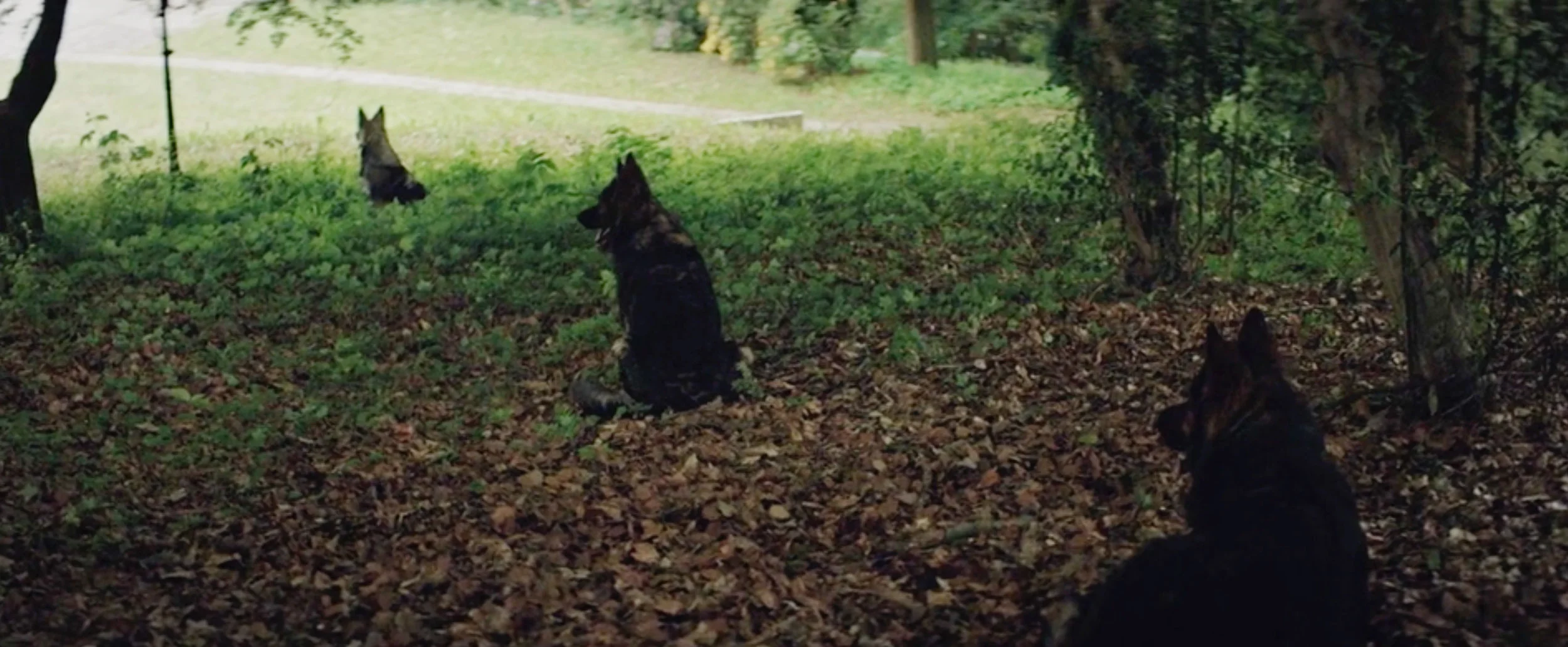 The Horror - Episode II