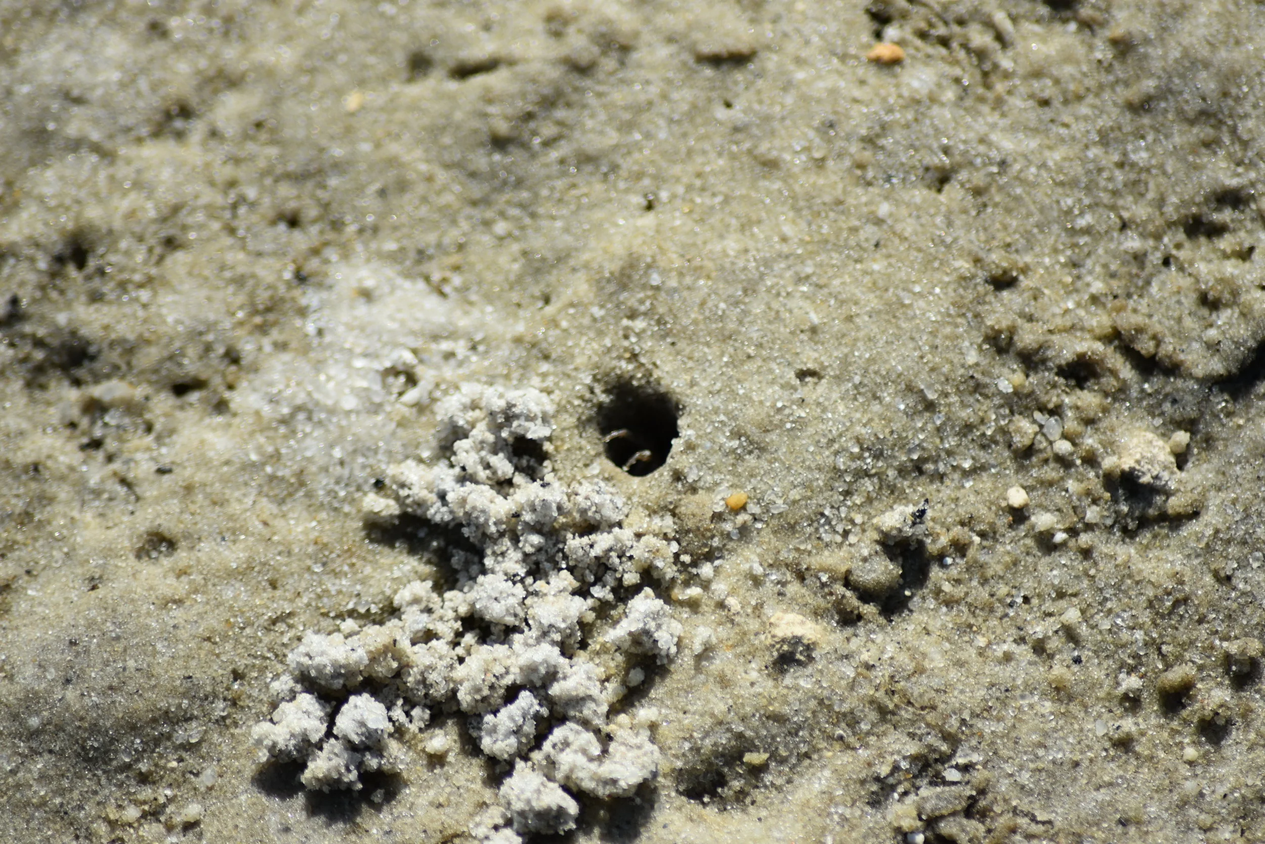 New Construction continues to explode