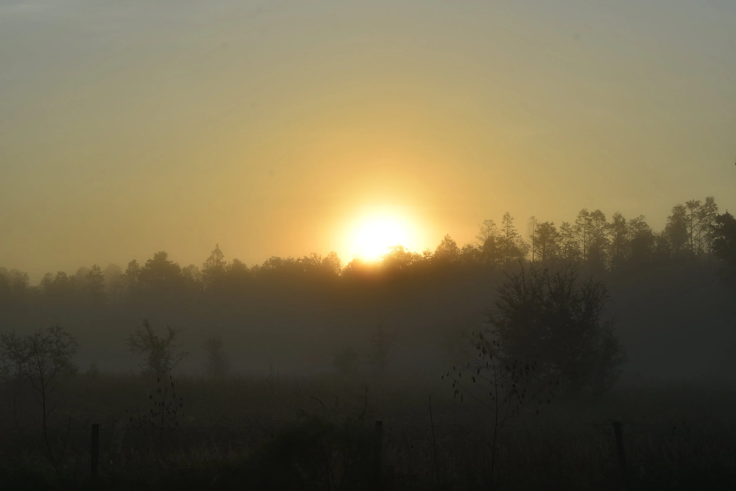  Pasco County $44 Million Dollar Sports Complex