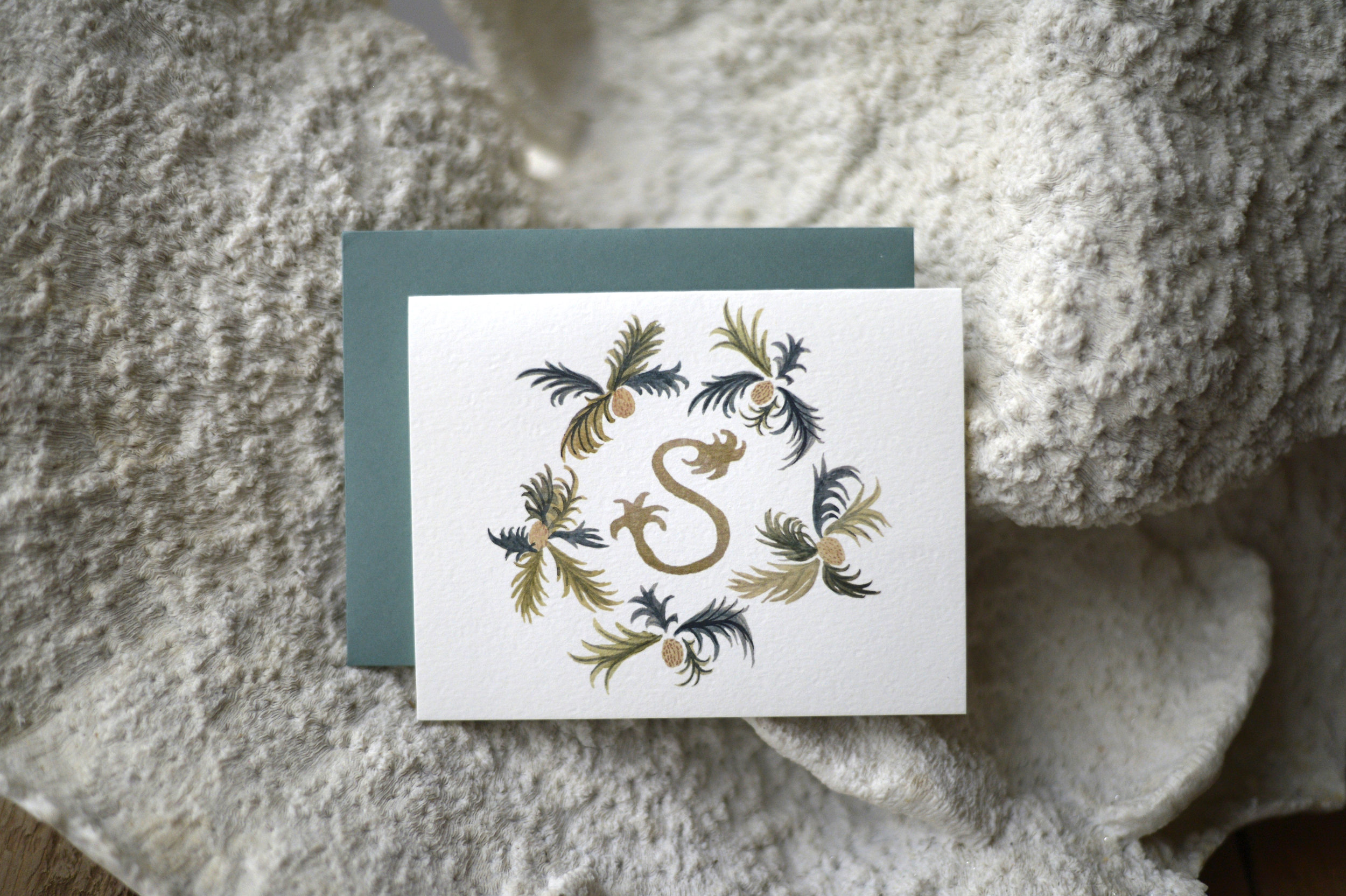 THE HESTER with the Palm font