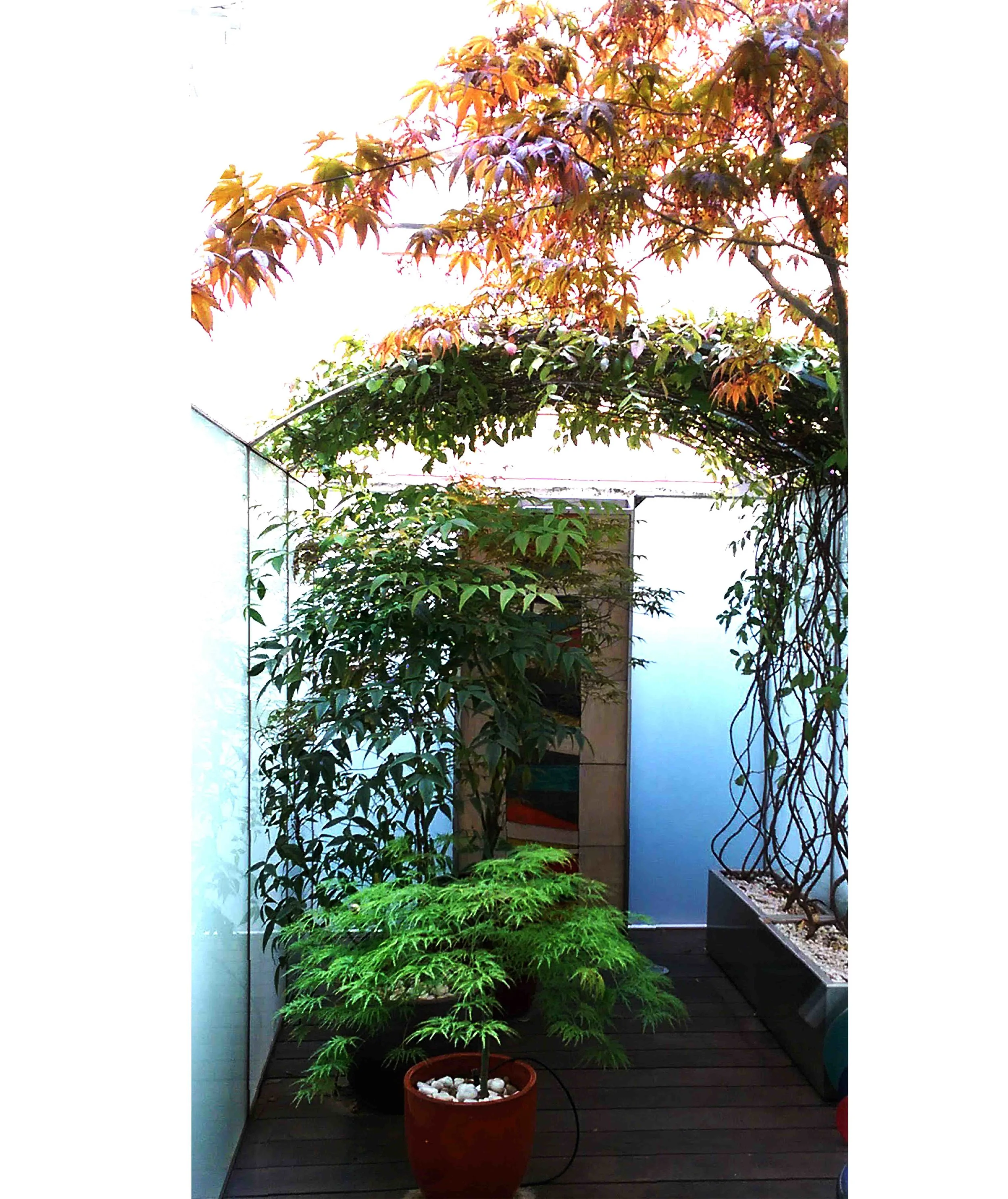 4PATIOAZDX4.jpg