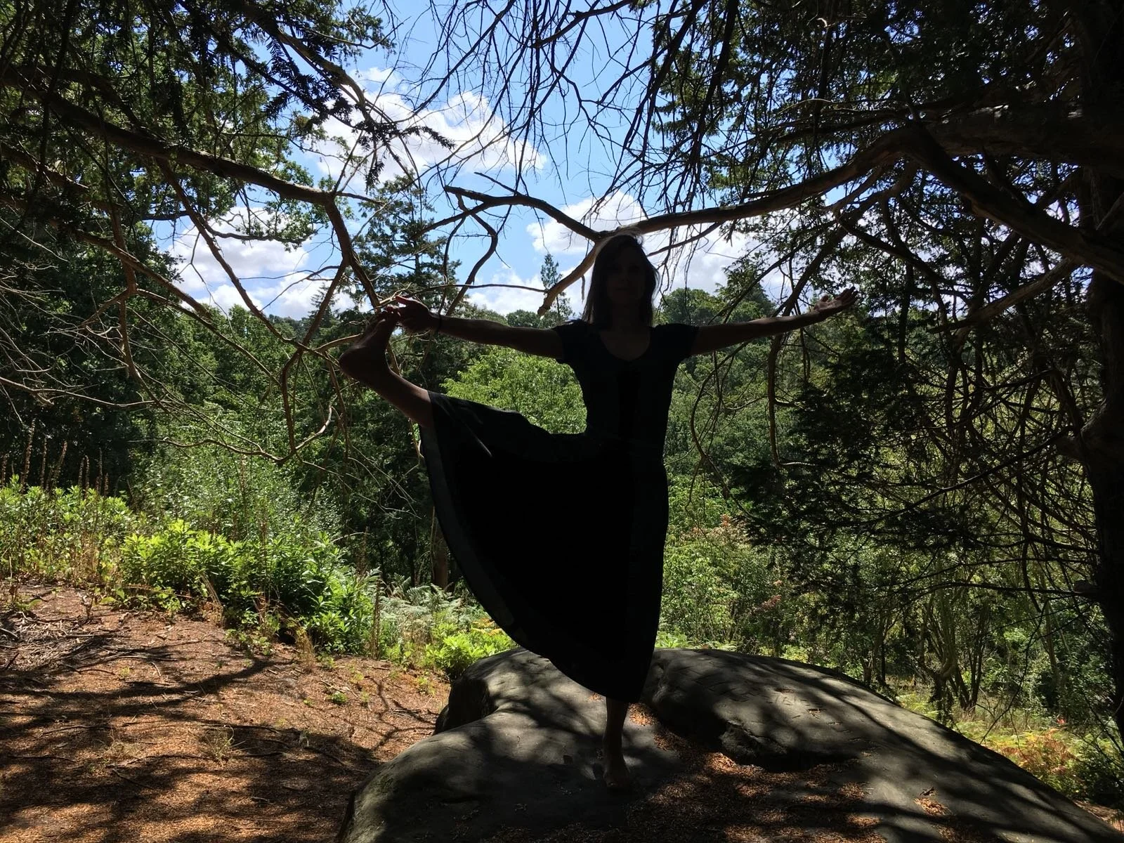 Balance Strength Flexibility.jpg