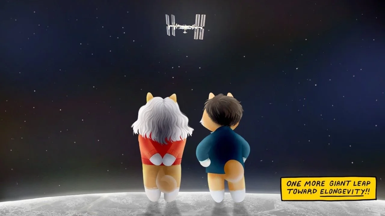 People are Noticing the Difference of Dogelon Mars — Methuselah Foundation