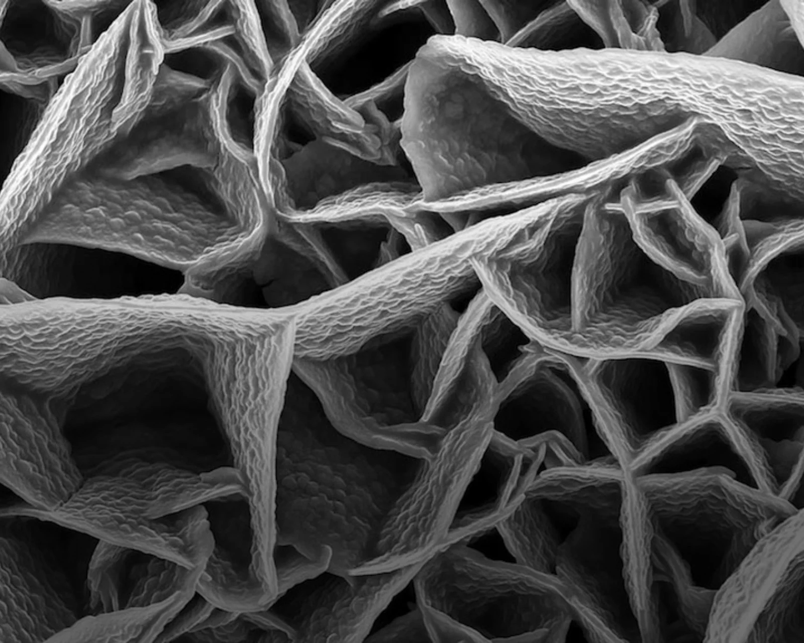 On Taking Risks and Thinking Big