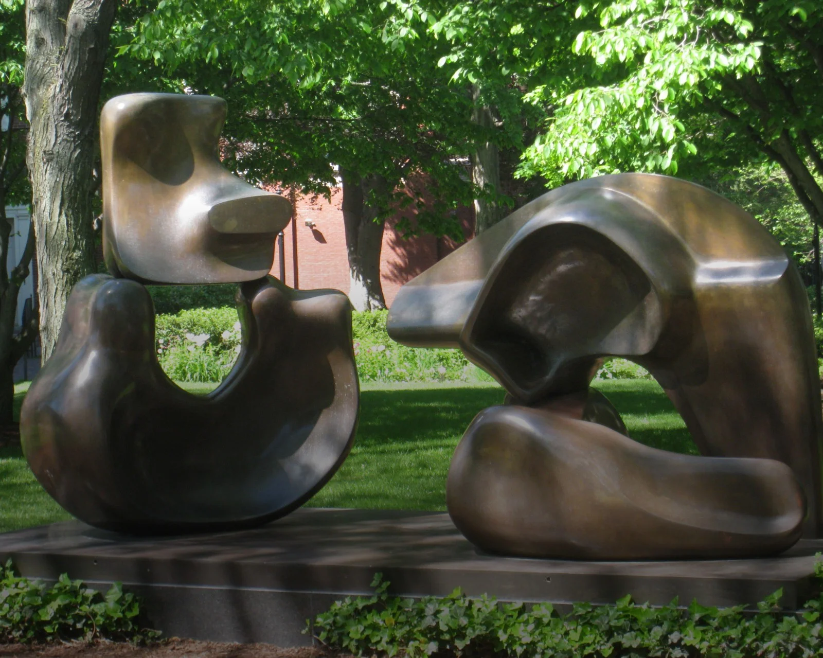 Collaborative Science at the Harvard Stem Cell Institute