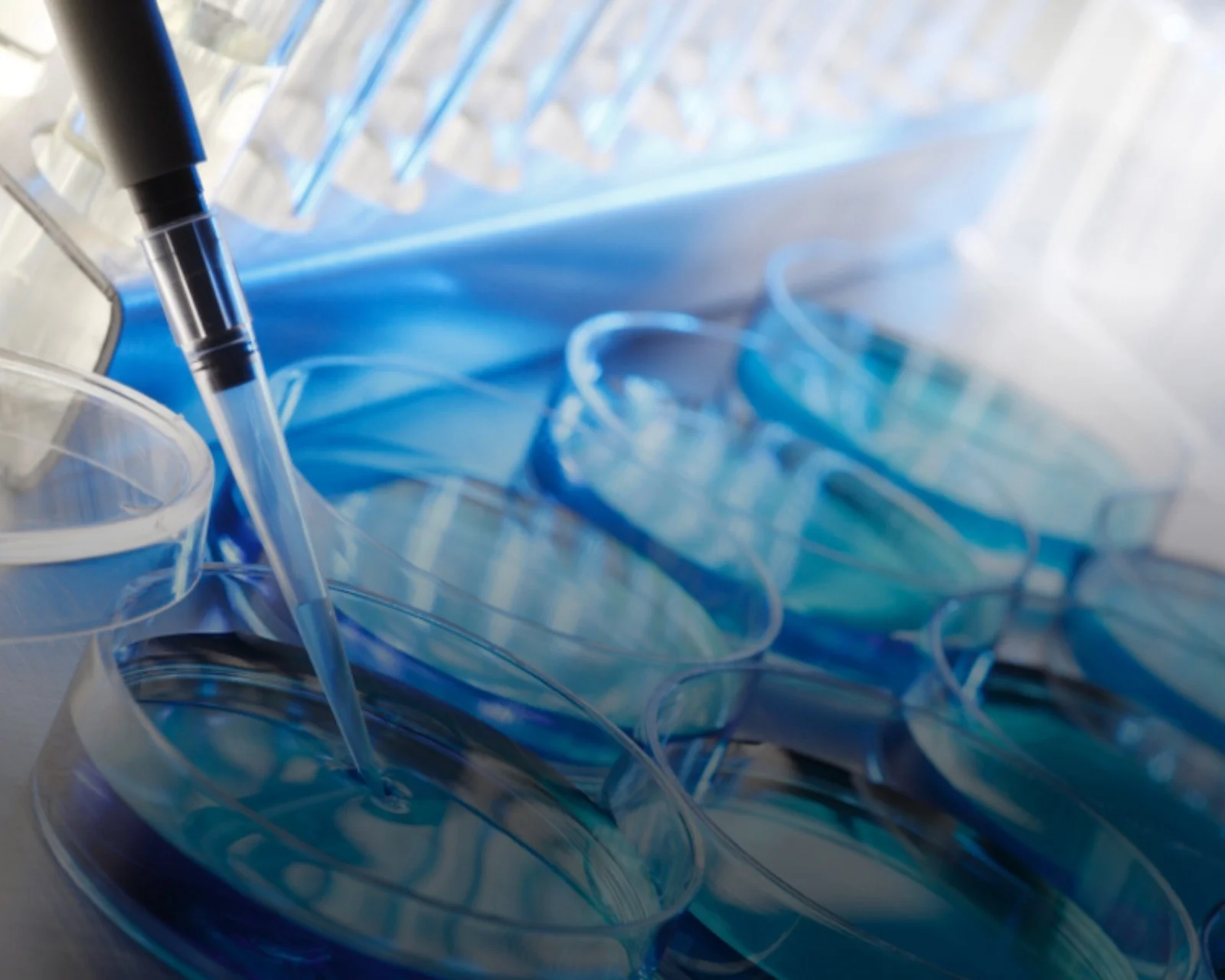 Transforming the Treatment of End-Stage Organ Failure