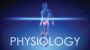 physiology