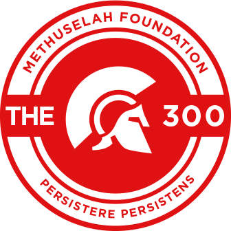 300 Logo.png
