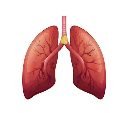 Reason to Repair: Part 2 of a series on the mission to defy aging