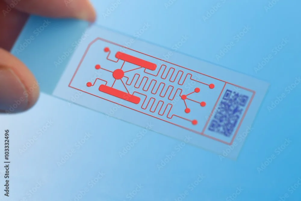 Progress on a better alternative to animal testing 