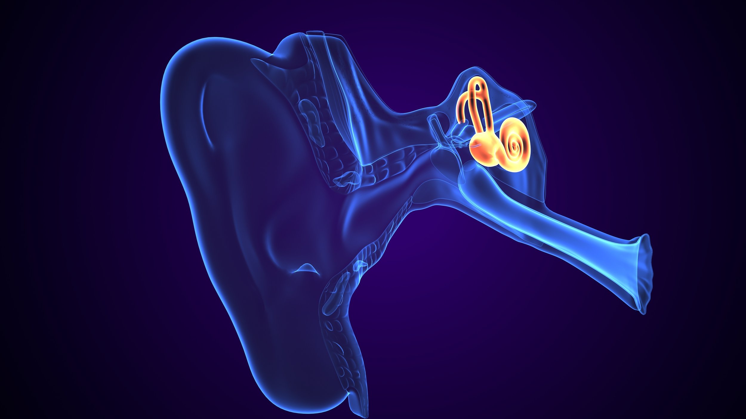 Researchers discover new tool that may help to reverse hearing loss 