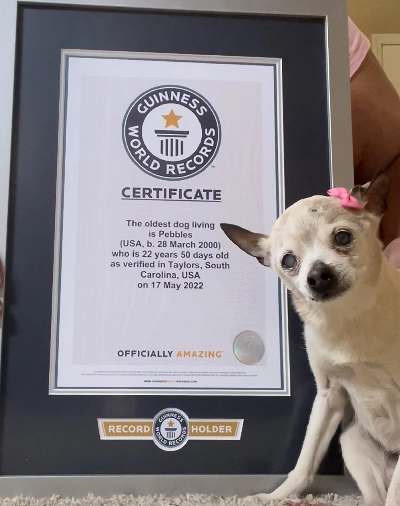Congratulations to the NEW world’s oldest living dog!