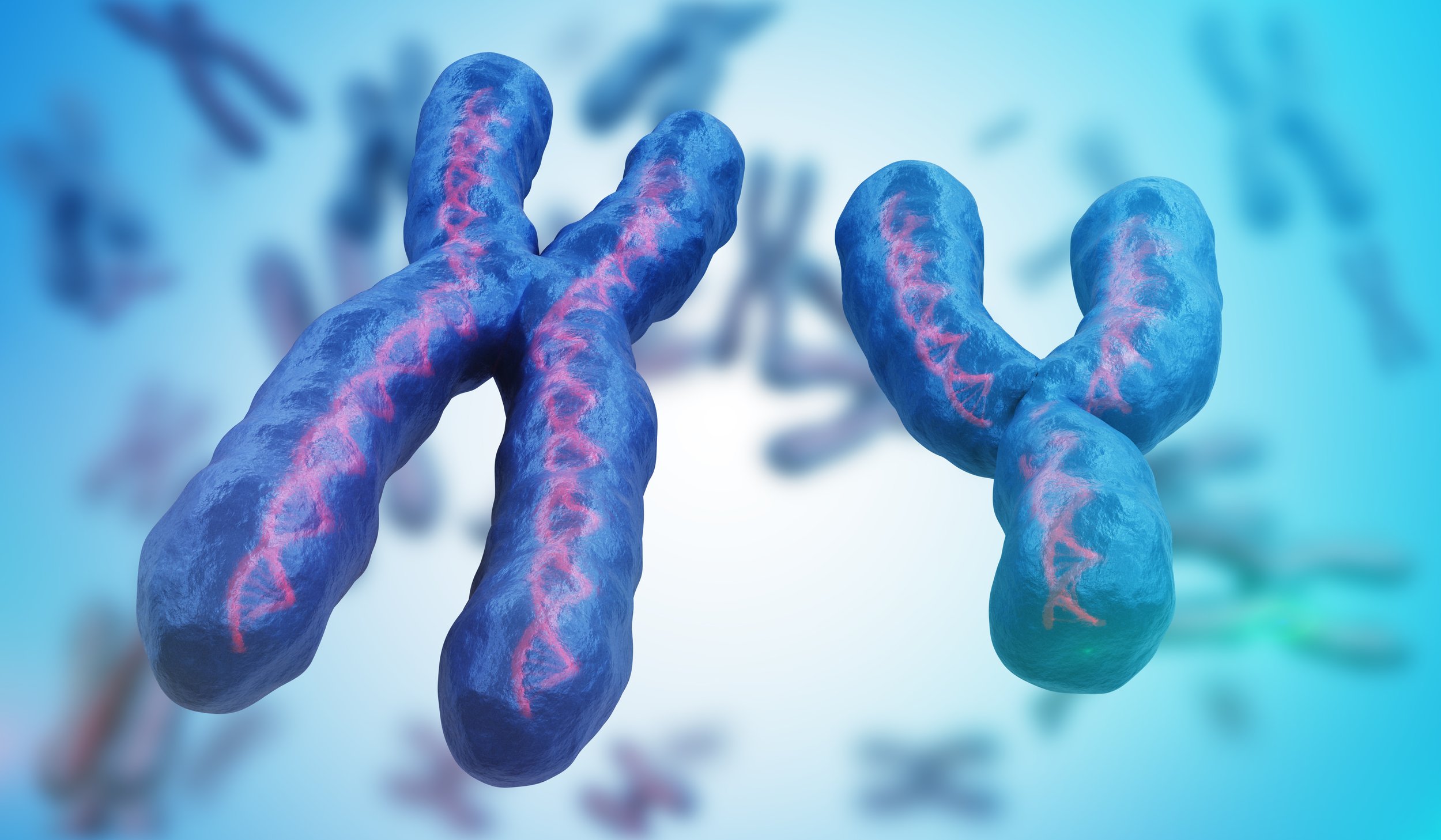 Loss of Y chromosomes leads to age-related diseases and early death for men