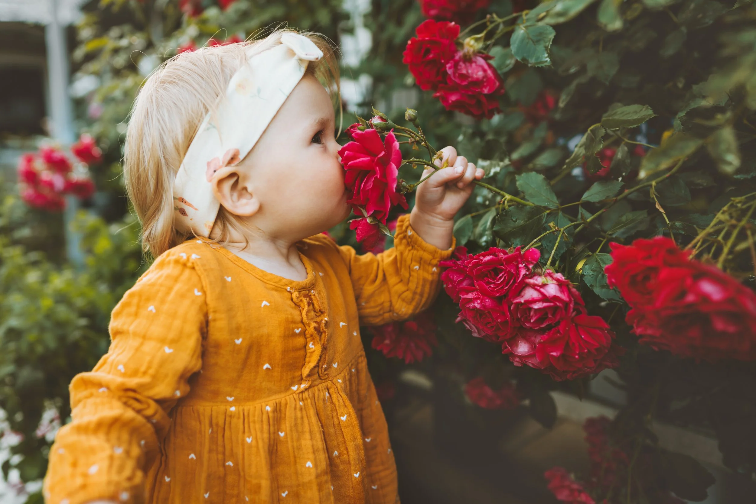 The Scent of Hope: Olfactory Implants and the Future of Smell