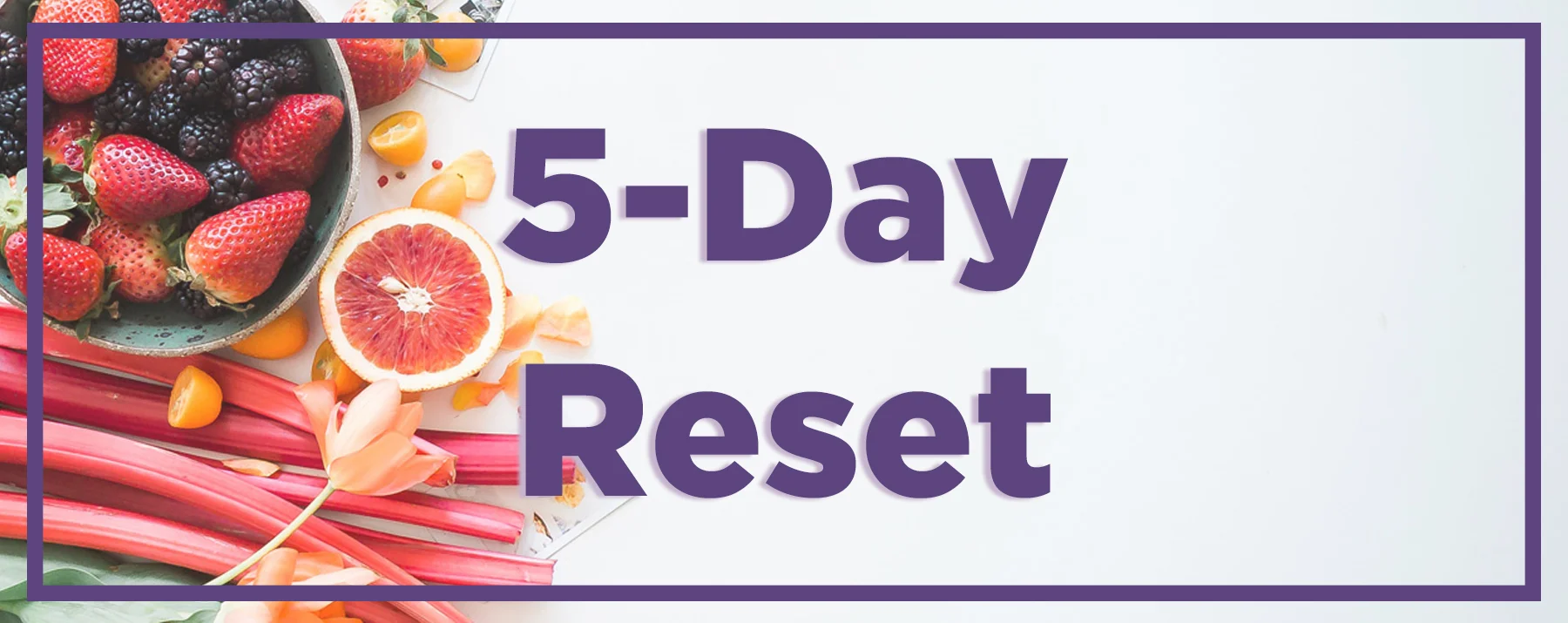 Reset Header.jpg