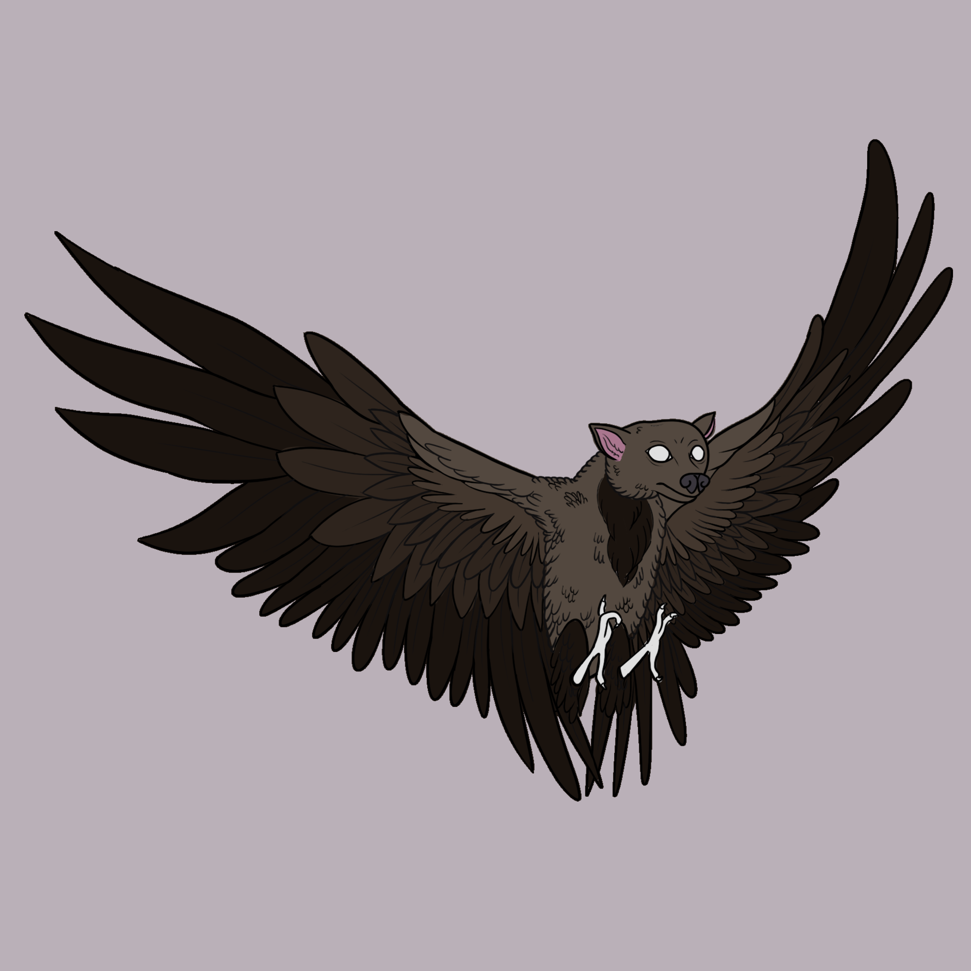 Corvibat.png