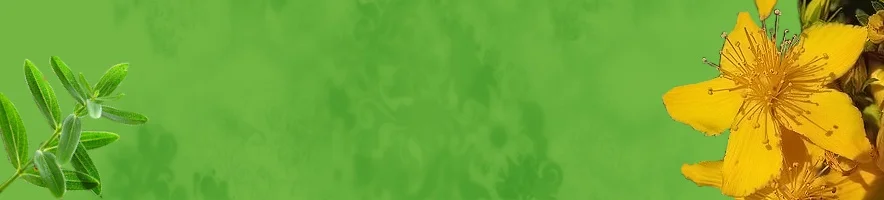 header.jpg
