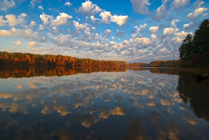 Woody Sunrise - Copy.jpg