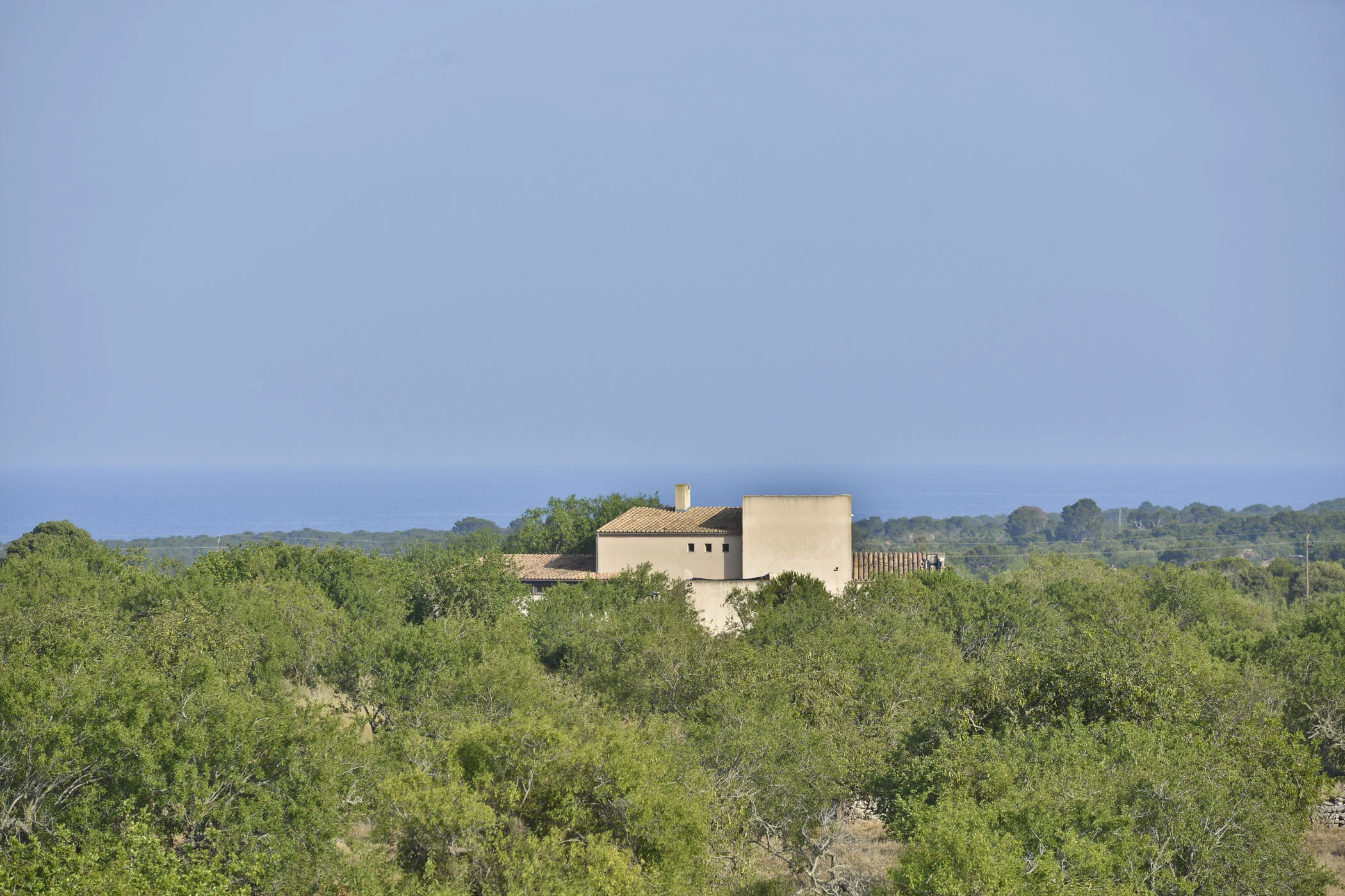Finca Haas