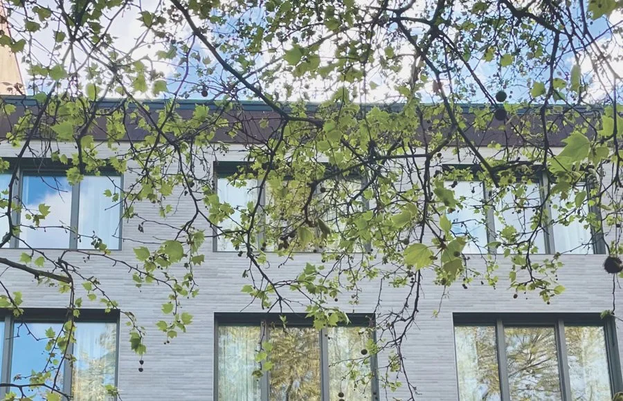 Umbau und Modernisierung MFH Altbauwohnungen P49 in Stuttgart