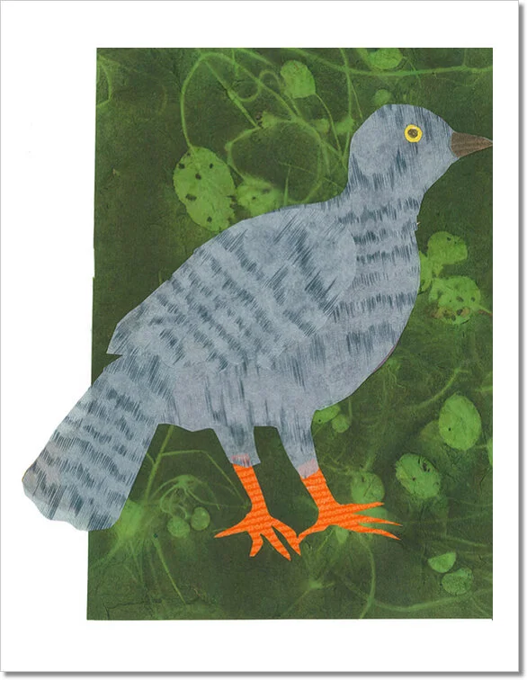 Pigeon - master for web store.jpg