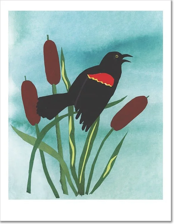 Red_Wing_Blackbird_-_master_for_web_store.jpg