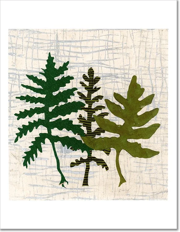 Ferns_-_master_for_web_store.jpg