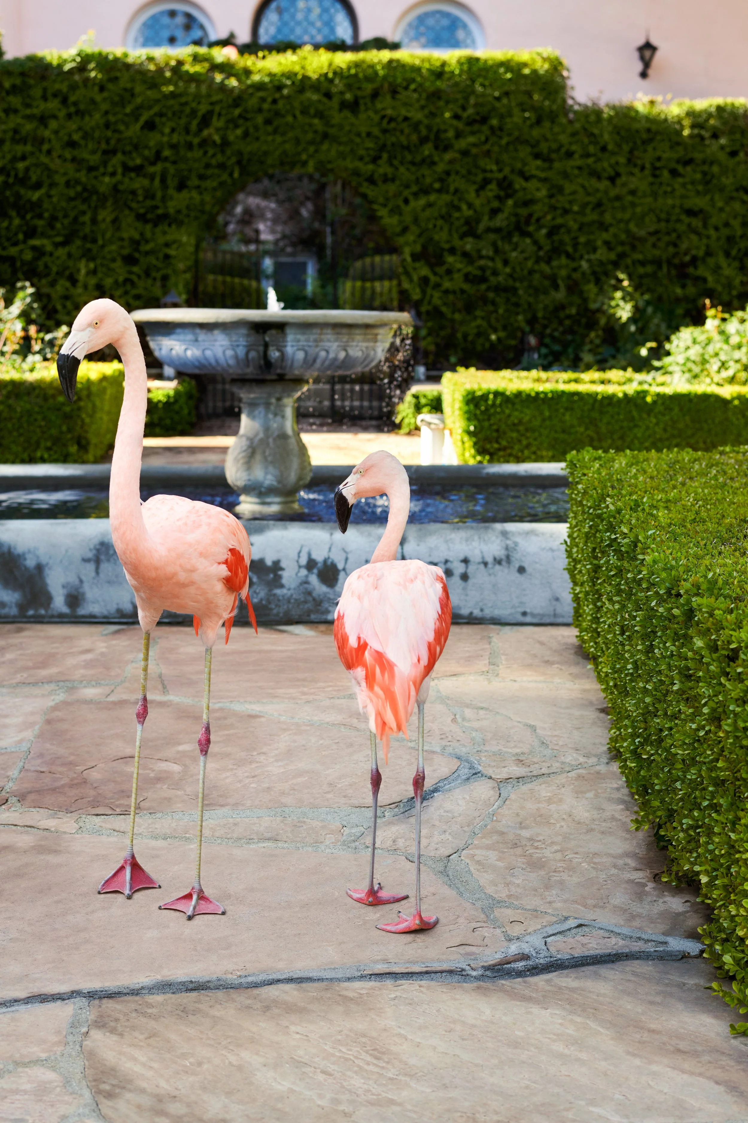 STH_211215_KATESPADE1191_ Knott_Voyage_1088.jpg